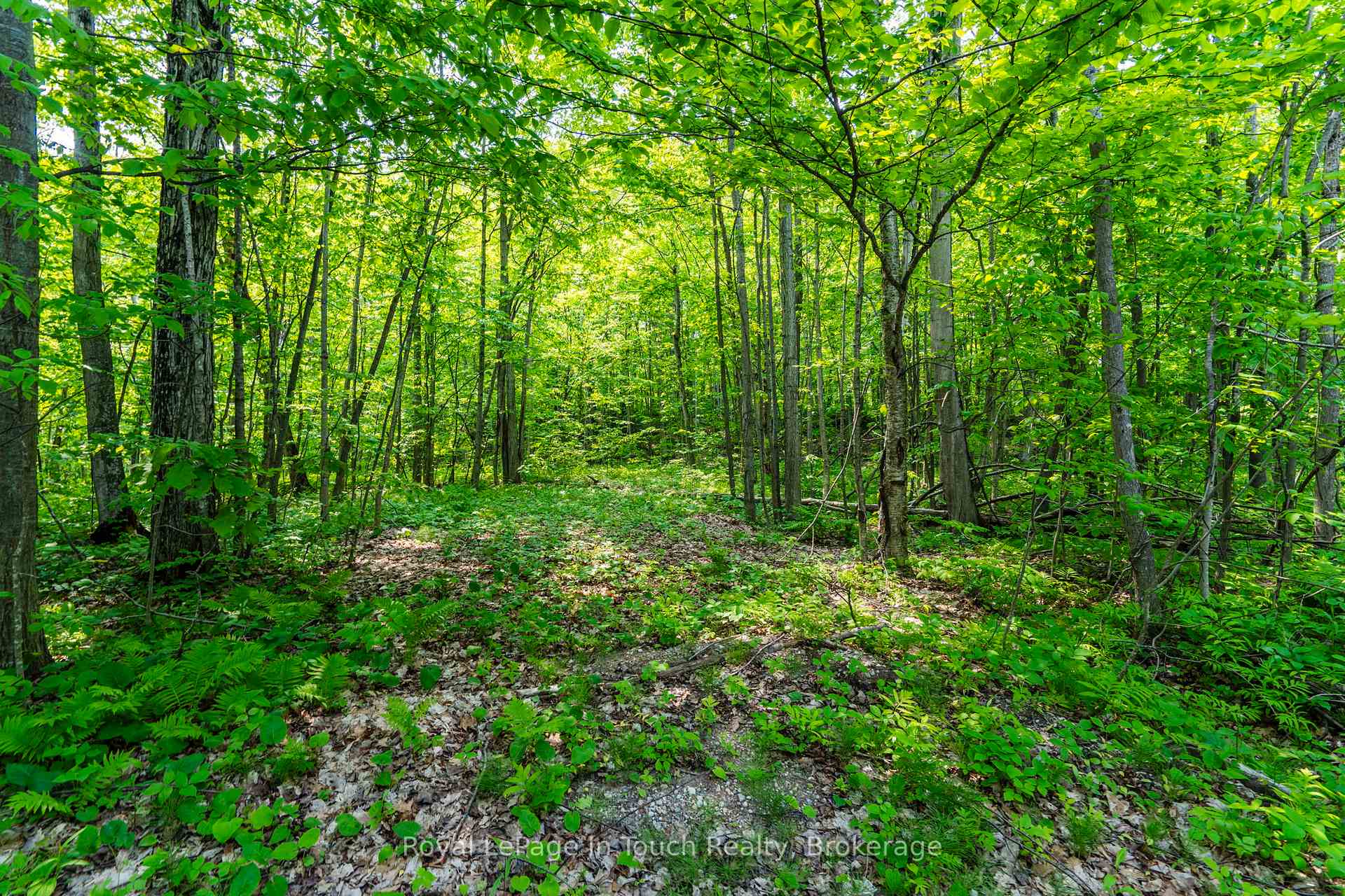 Photo 5 of Lot  22 Champlain Road, Tiny, Rural Tiny — HOMEH