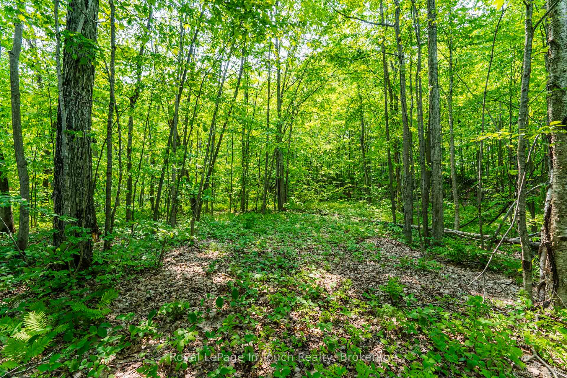 Photo 9 of Lot  22 Champlain Road, Tiny, Rural Tiny — HOMEH