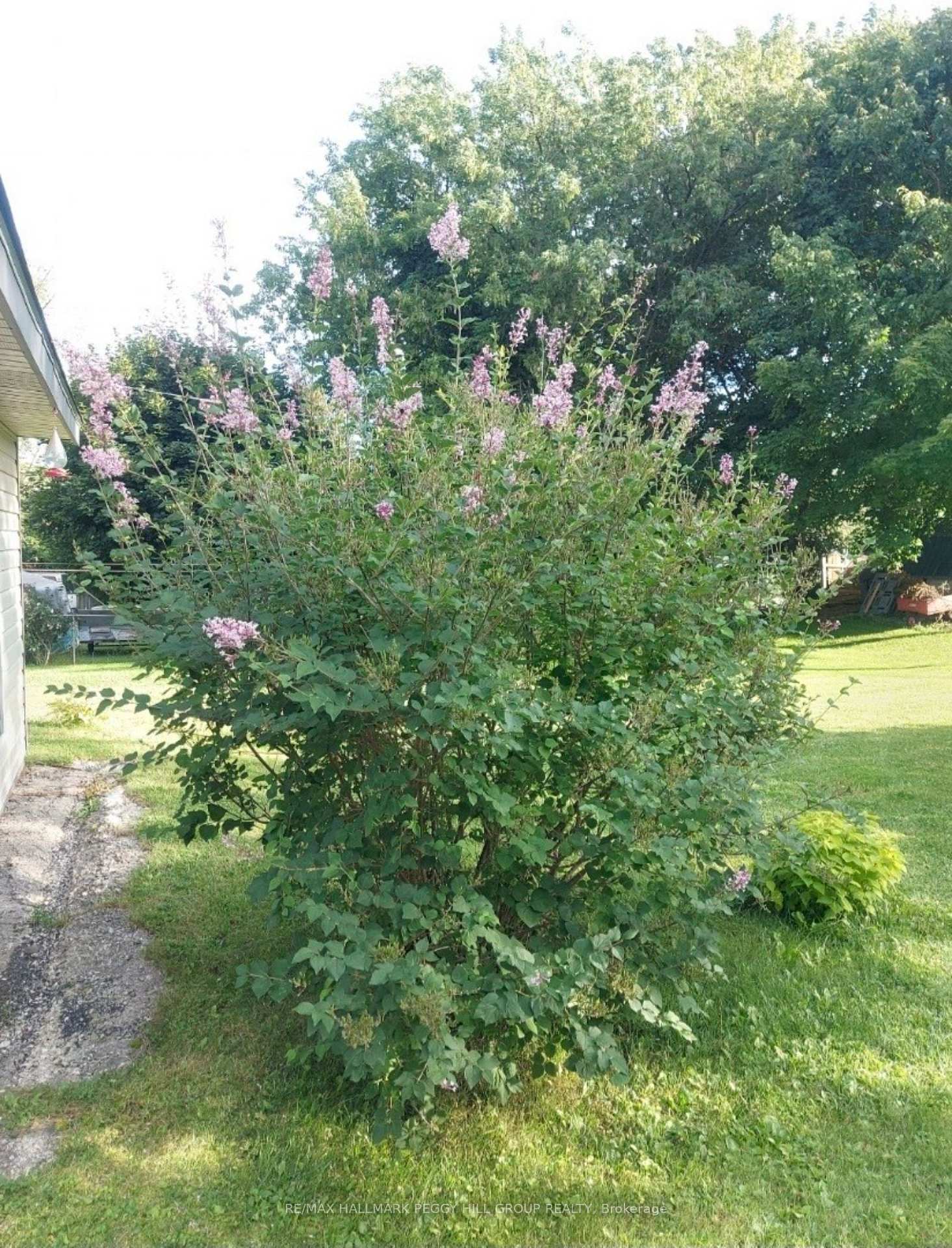 Photo 17 of 308 Cherry Street, Tay, Waubaushene — HOMEH