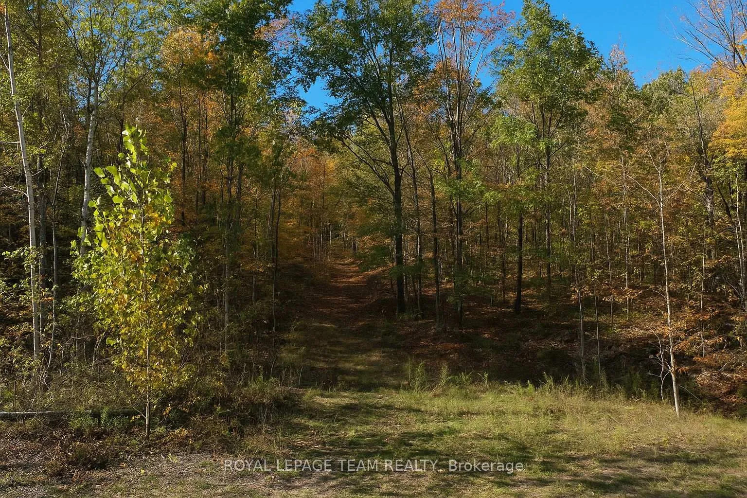 Photo 1 of 00 Maple Lane, Tay Valley, Bathurst/Burgess & Sherbrooke (South Sherbrooke) Twp — HOMEH