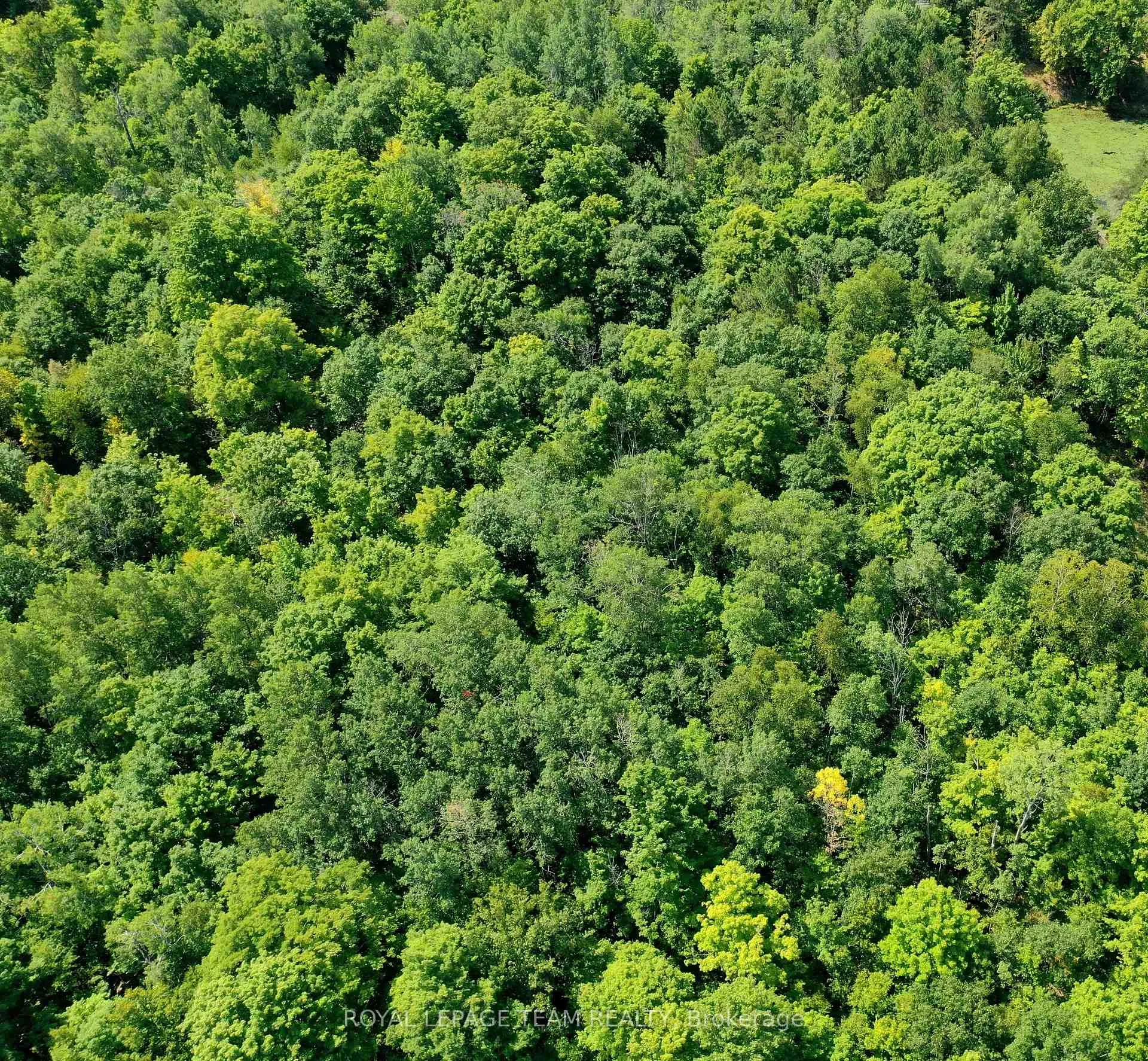 Photo 5 of 00 Maple Lane, Tay Valley, Bathurst/Burgess & Sherbrooke (South Sherbrooke) Twp — HOMEH