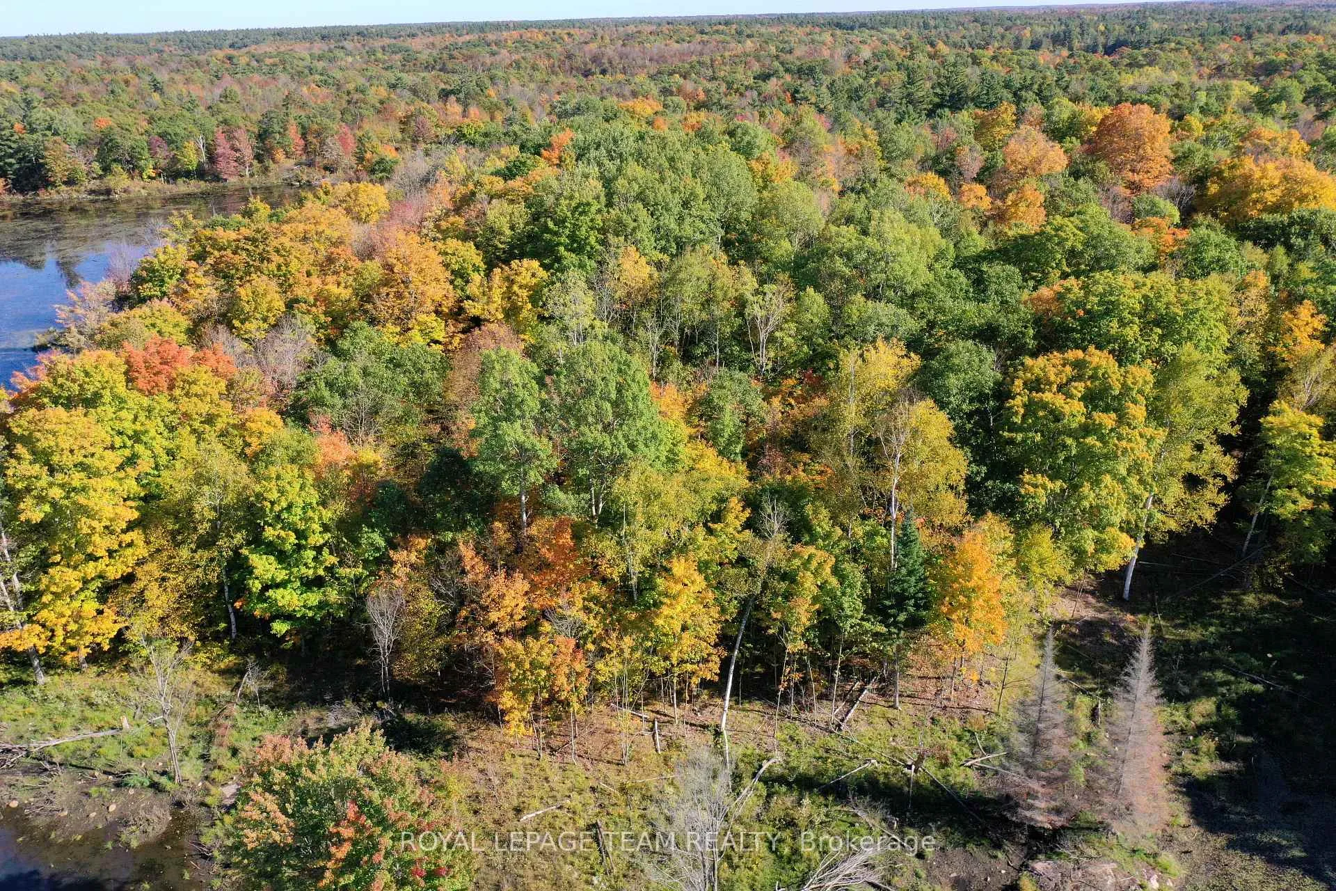Photo 9 of 00 Maple Lane, Tay Valley, Bathurst/Burgess & Sherbrooke (South Sherbrooke) Twp — HOMEH