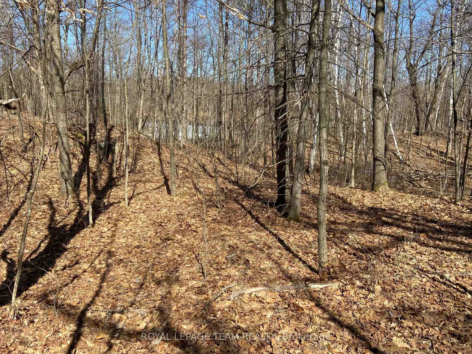 Photo 15 of 00 Maple Lane, Tay Valley, Bathurst/Burgess & Sherbrooke (South Sherbrooke) Twp — HOMEH