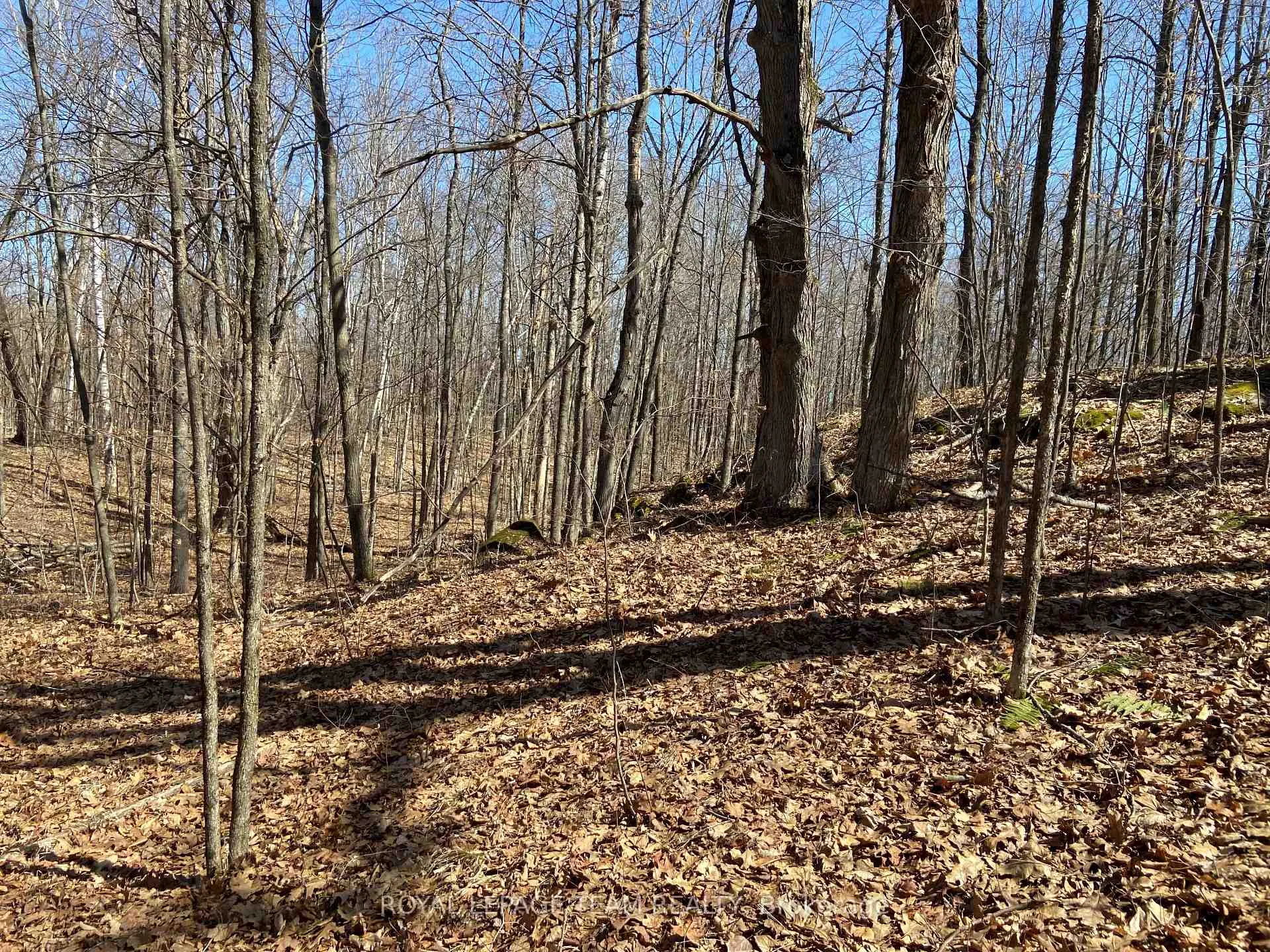 Photo 16 of 00 Maple Lane, Tay Valley, Bathurst/Burgess & Sherbrooke (South Sherbrooke) Twp — HOMEH