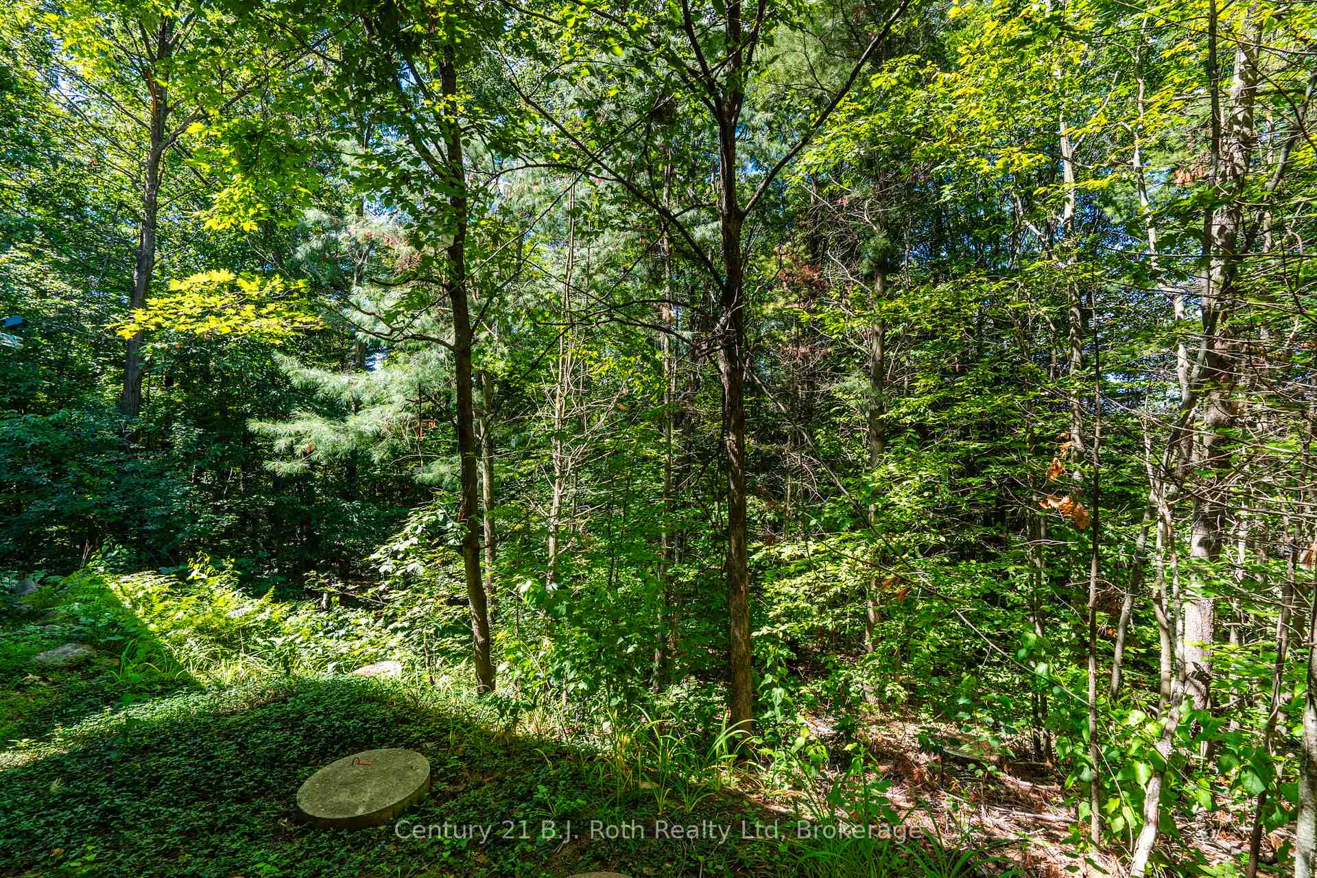 Photo 45 of 1749 Golf Link Road, Tiny, Rural Tiny — HOMEH