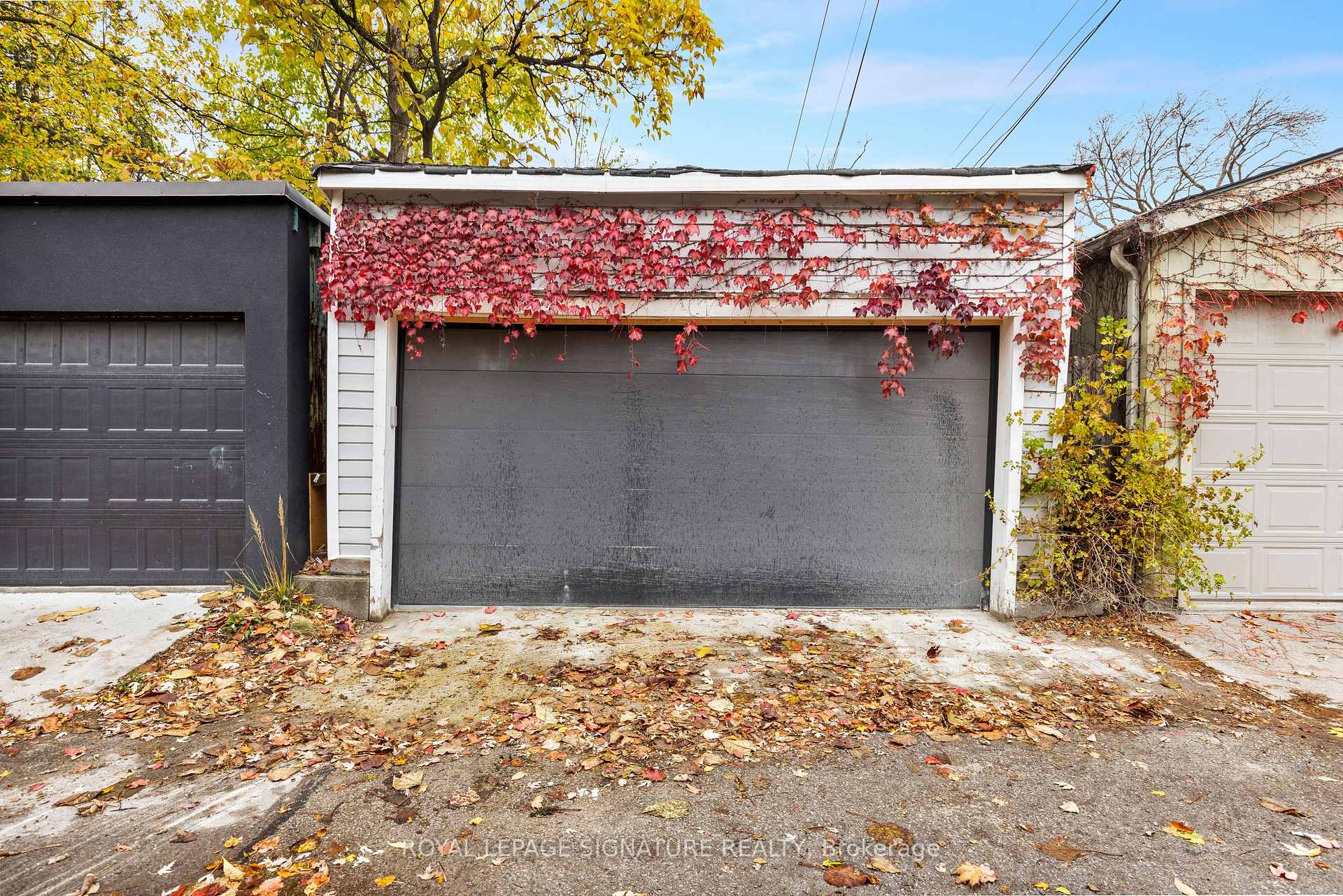Photo 38 of 245 Withrow Avenue, Toronto, North Riverdale — HOMEH