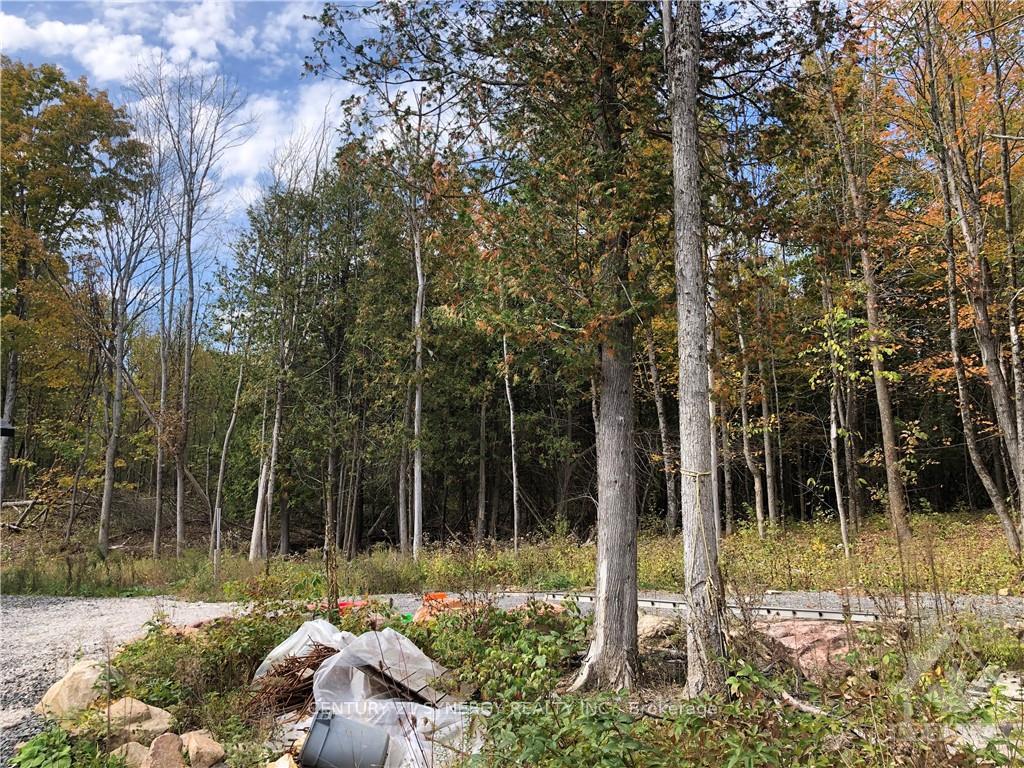 Photo 10 of 367 Concession 12B Lanark Road, Tay Valley, Bathurst/Burgess & Sherbrooke (Bathurst) Twp — HOMEH