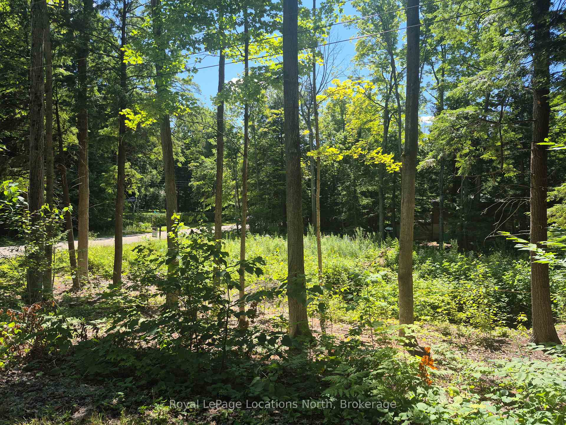Photo 6 of 68 Beauremi Road, Tiny, Rural Tiny — HOMEH