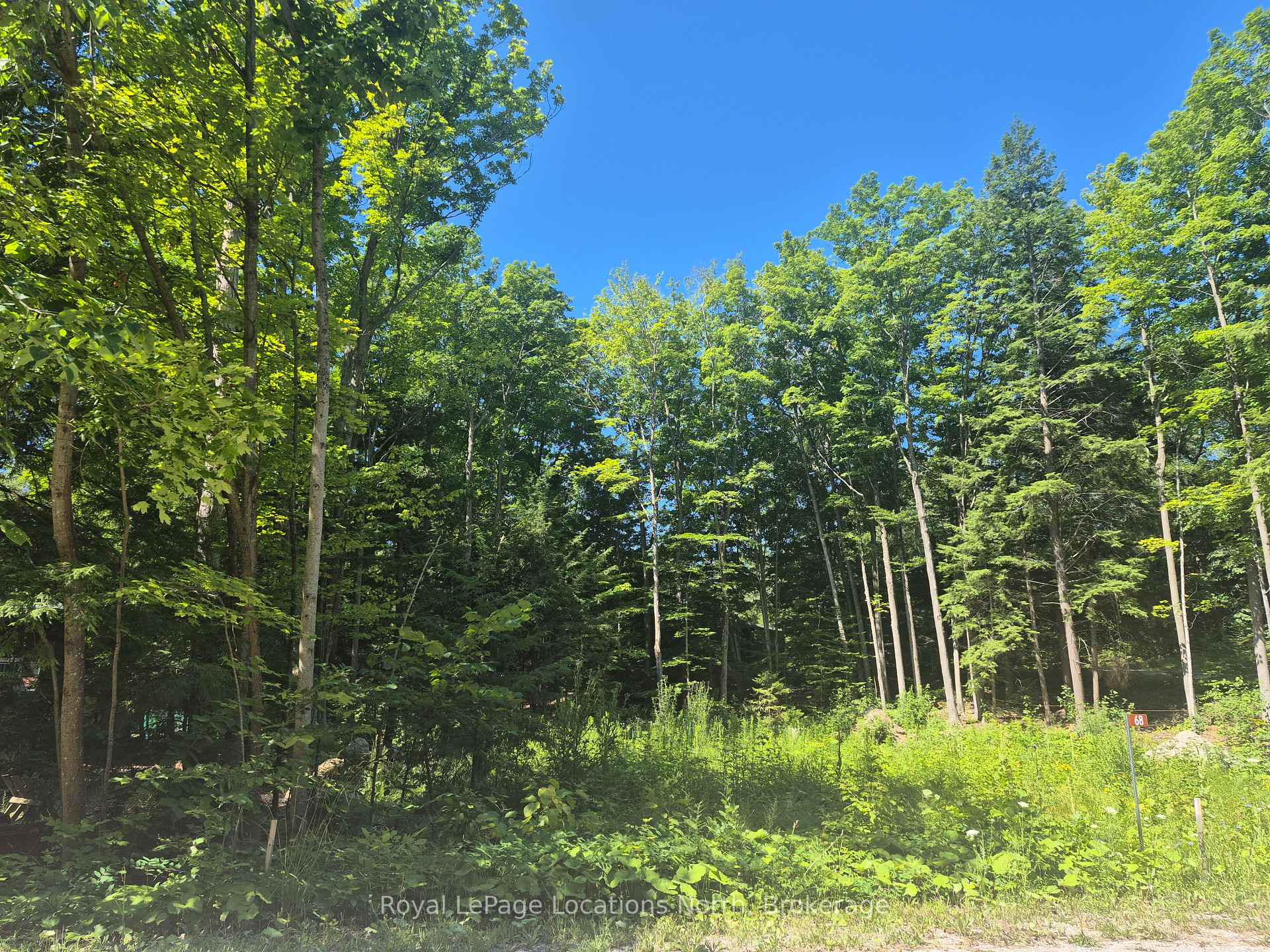 Photo 18 of 68 Beauremi Road, Tiny, Rural Tiny — HOMEH