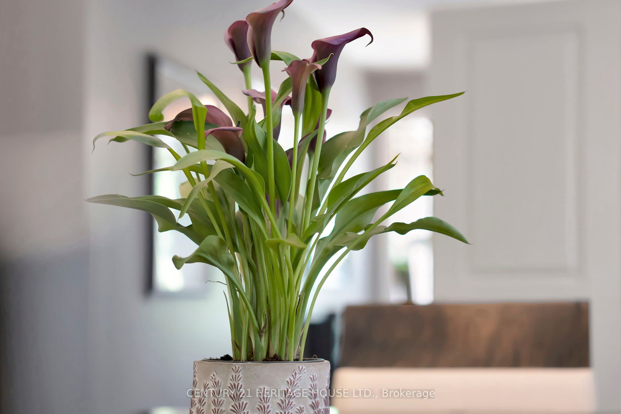 Photo 49 of 23 Hampton Street, Brant, Paris — HOMEH