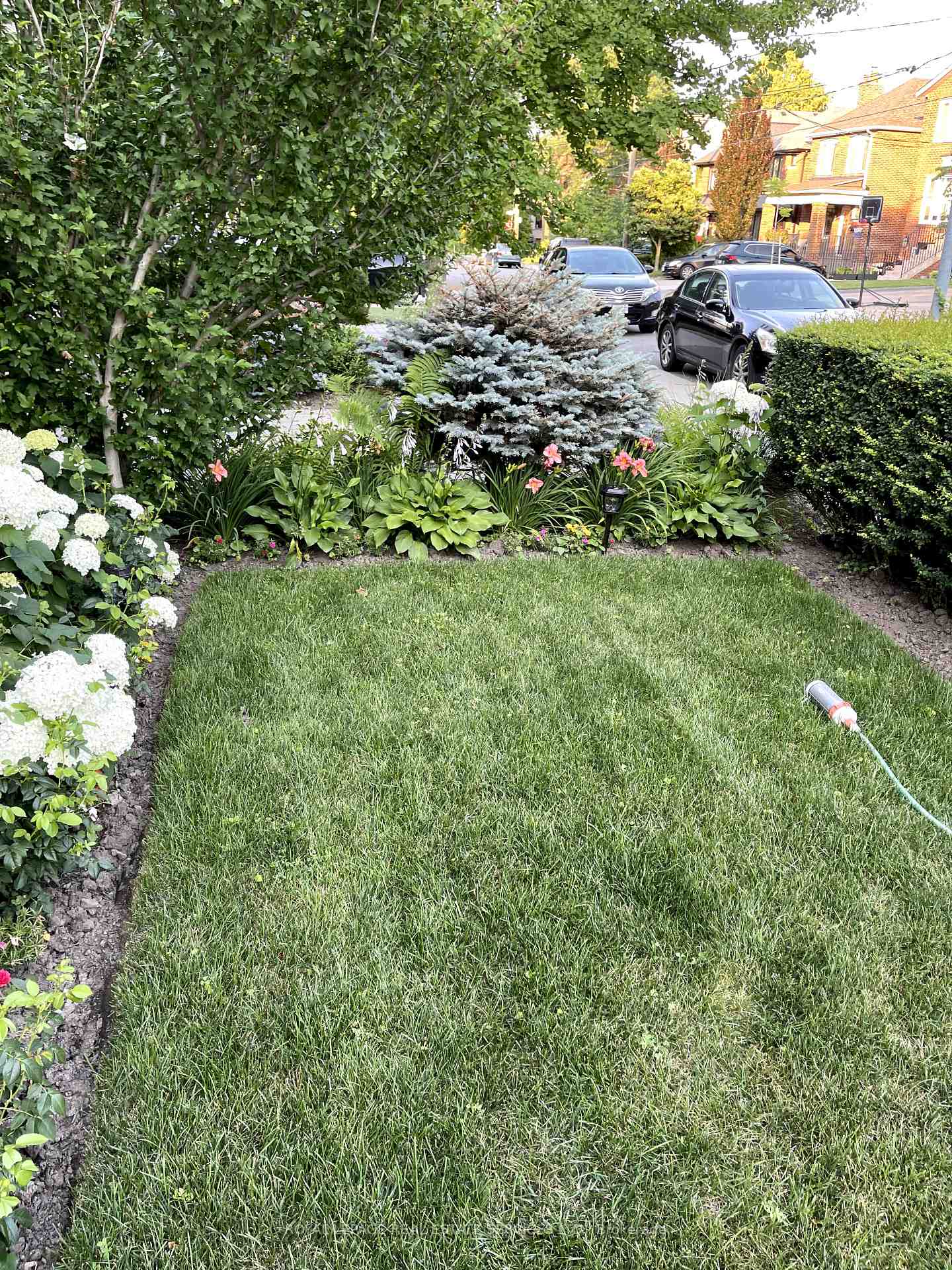Photo 35 of 208 Glenforest Road, Toronto, Lawrence Park North — HOMEH