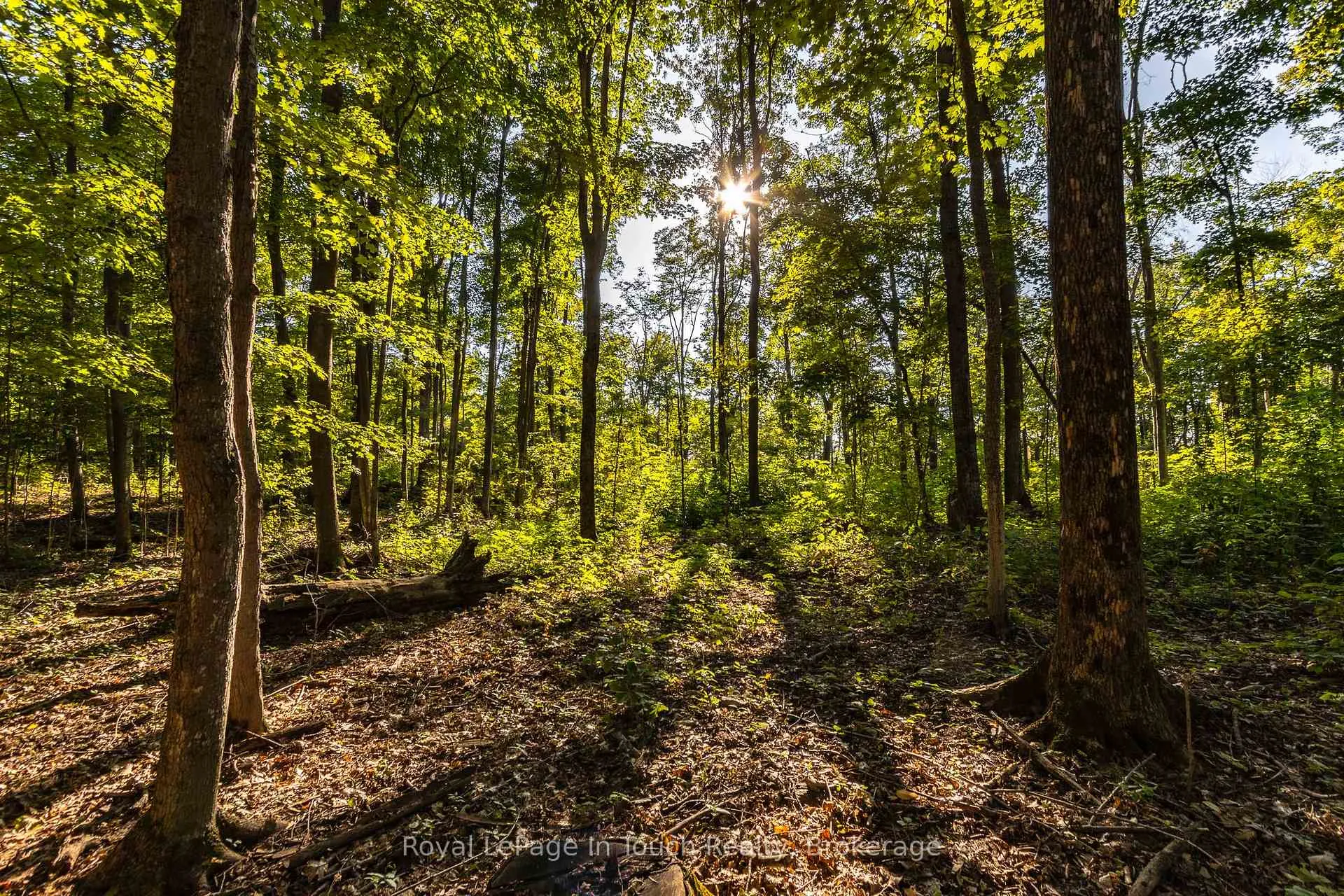 Photo 6 of Lt 16&17 Nippissing Ridge Road, Tiny, Rural Tiny — HOMEH