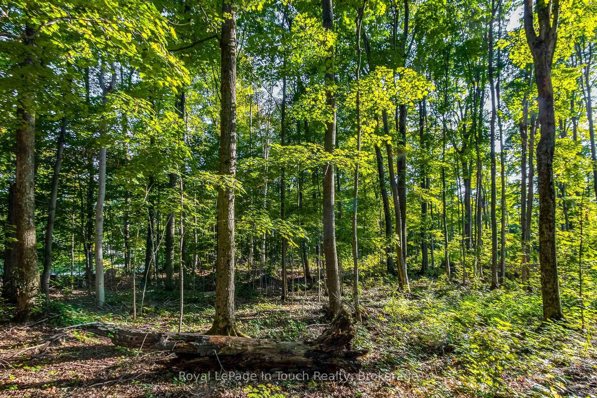 Photo 7 of Lt 16&17 Nippissing Ridge Road, Tiny, Rural Tiny — HOMEH