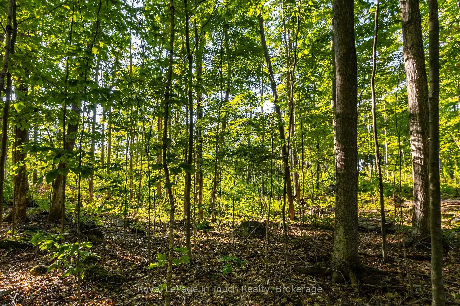 Photo 14 of Lt 16&17 Nippissing Ridge Road, Tiny, Rural Tiny — HOMEH