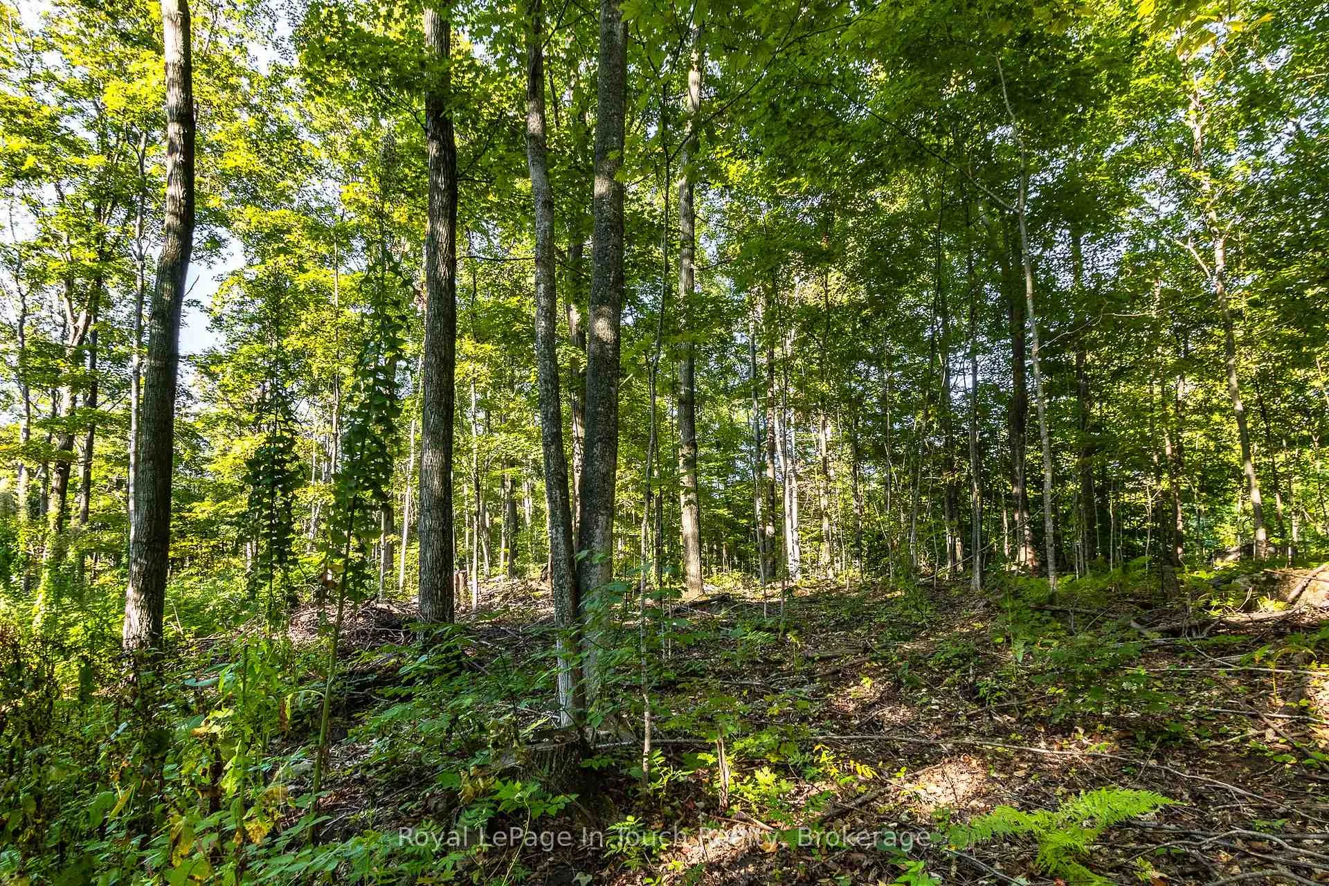 Photo 17 of Lt 16&17 Nippissing Ridge Road, Tiny, Rural Tiny — HOMEH