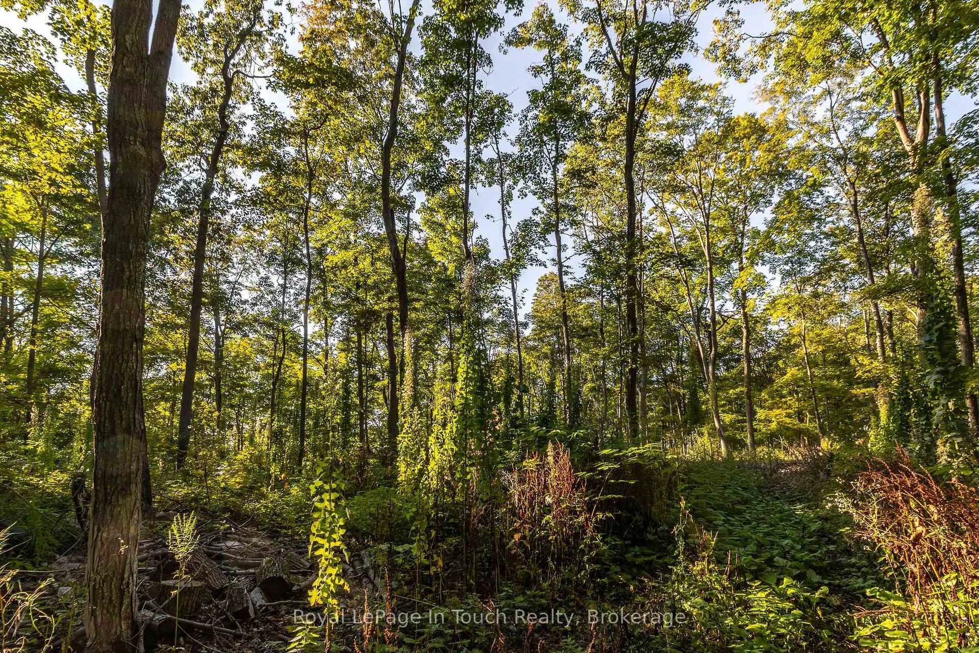 Photo 18 of Lt 16&17 Nippissing Ridge Road, Tiny, Rural Tiny — HOMEH