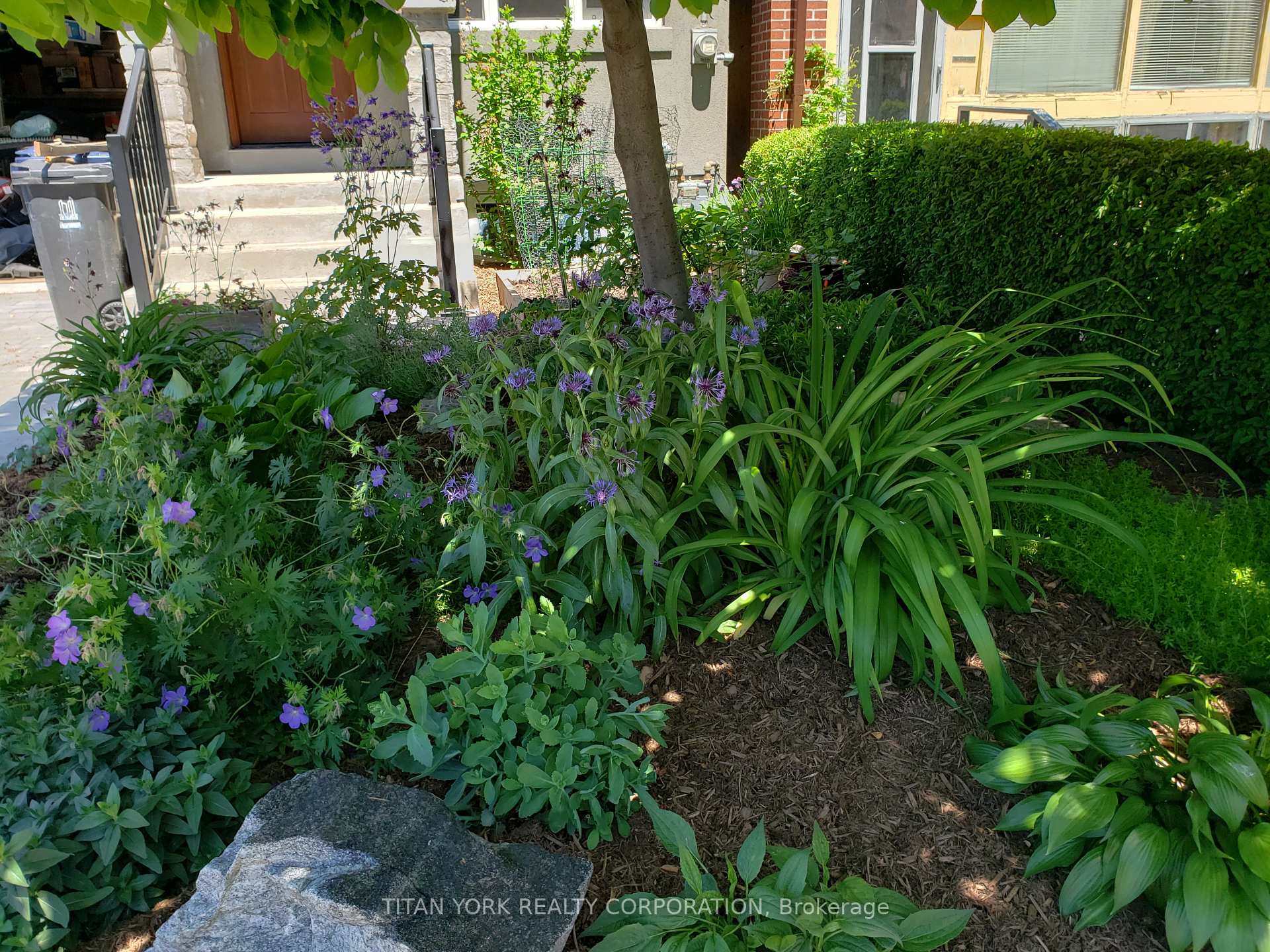 Photo 28 of 2 Bracebridge Avenue, Toronto, Woodbine-Lumsden — HOMEH