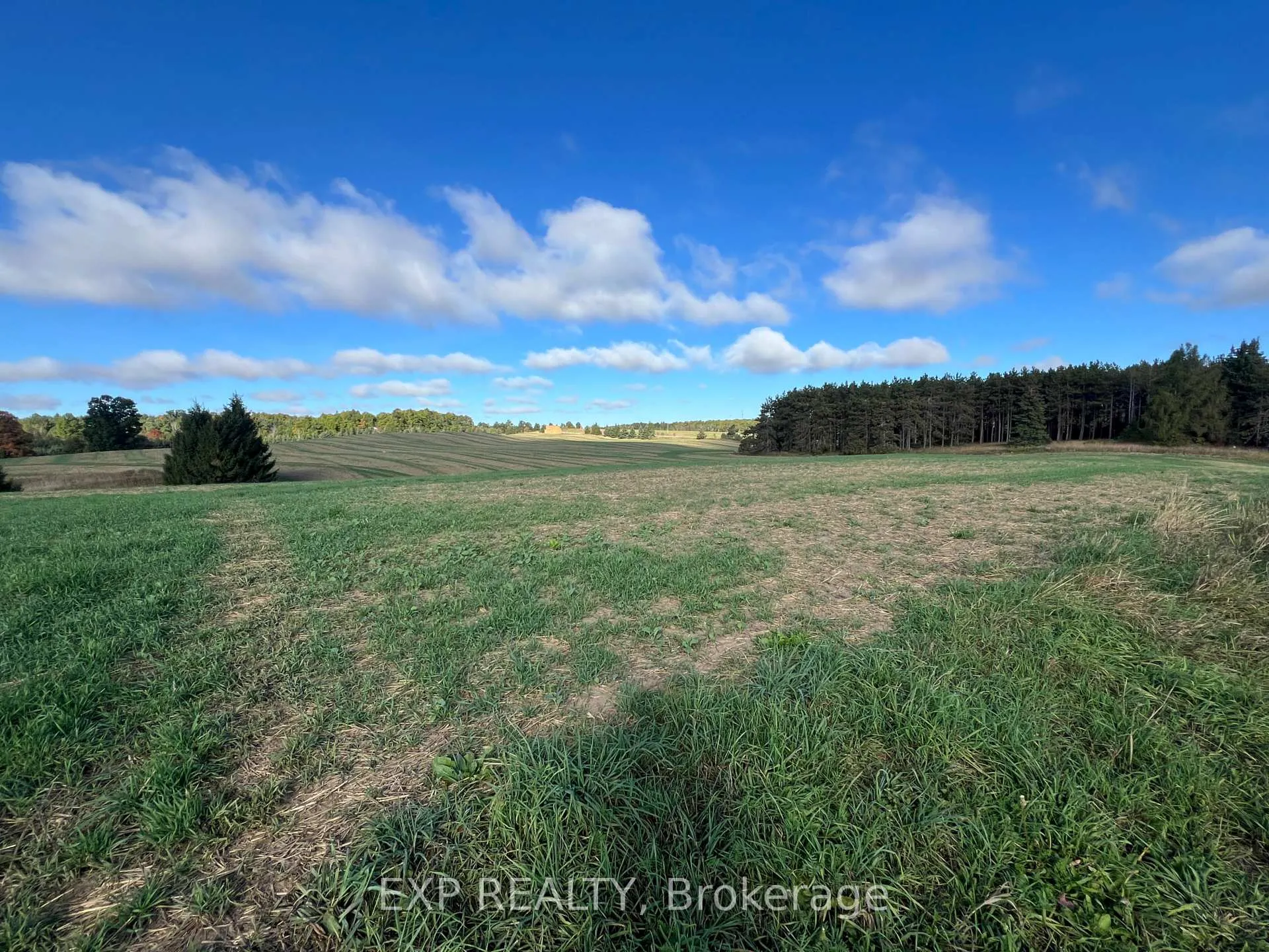 Photo 16 of 487120 30 Side Road, Mono, Rural Mono — HOMEH