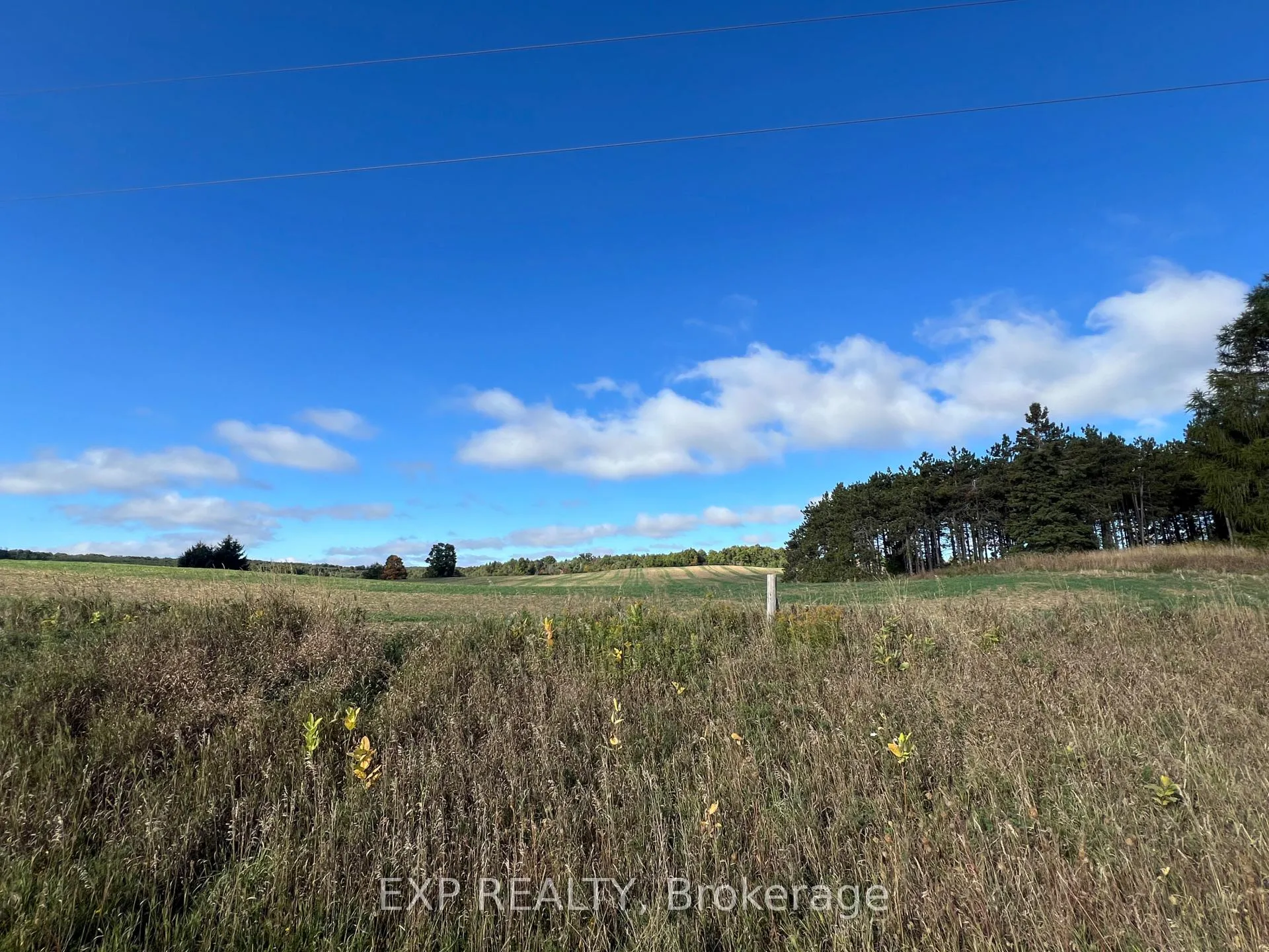 Photo 21 of 487120 30 Side Road, Mono, Rural Mono — HOMEH