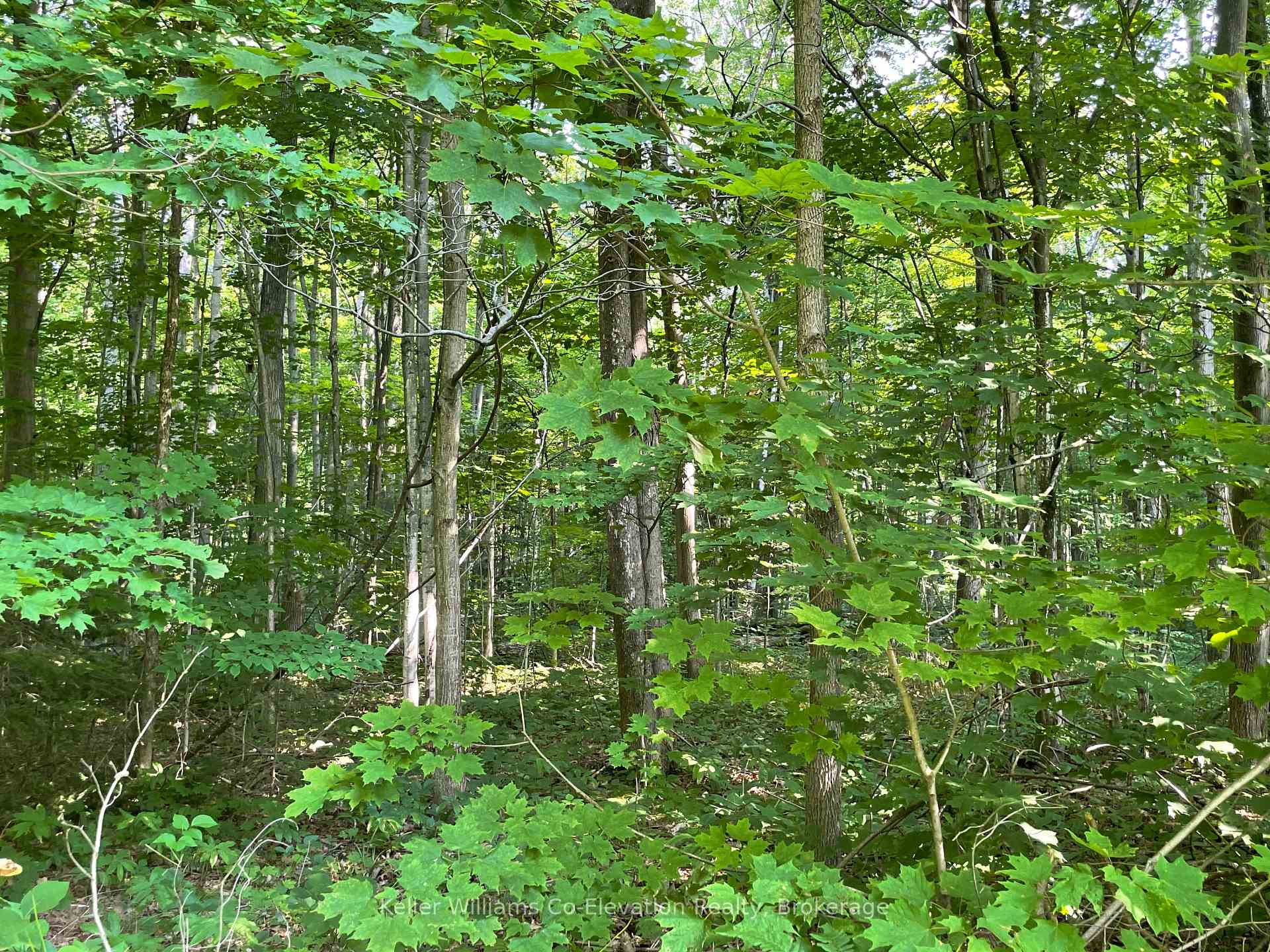 Photo 5 of Lot 24 Crooked Creek Crescent, Tiny, Rural Tiny — HOMEH