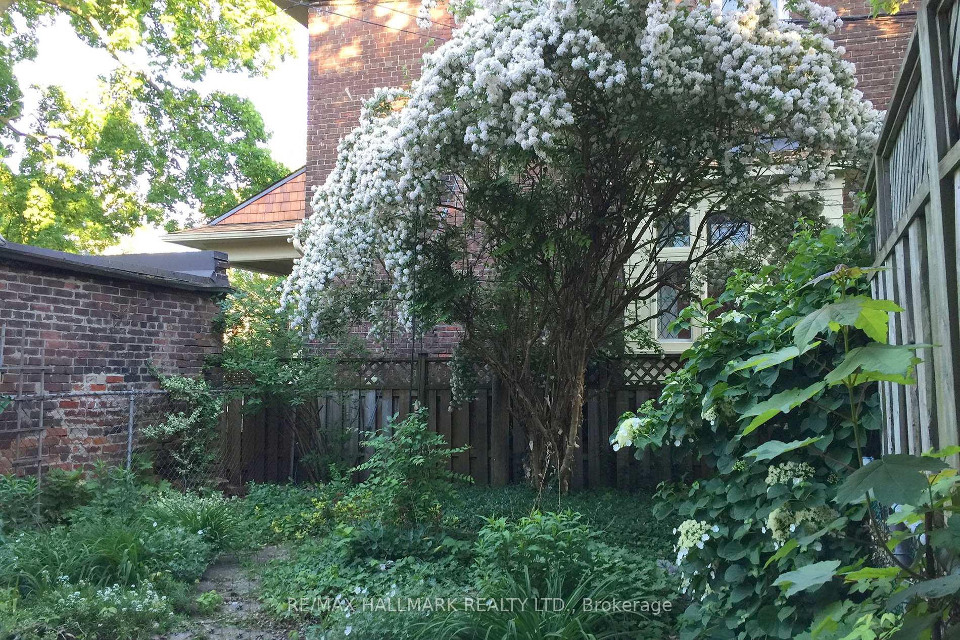 Photo 4 of Unit Lower, 111 Browning Avenue, Toronto, Playter Estates-Danforth — HOMEH