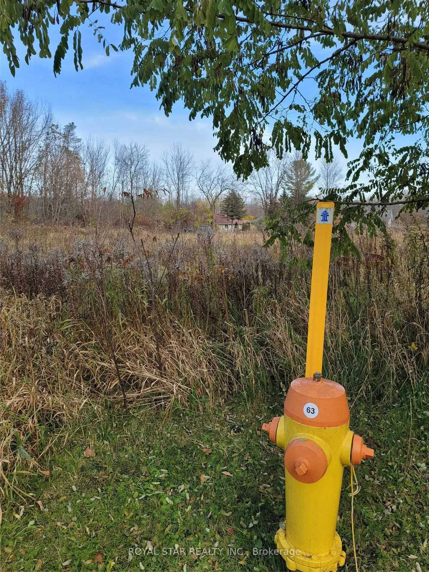 Photo 6 of Lot #4 John Street, Severn, Coldwater — HOMEH