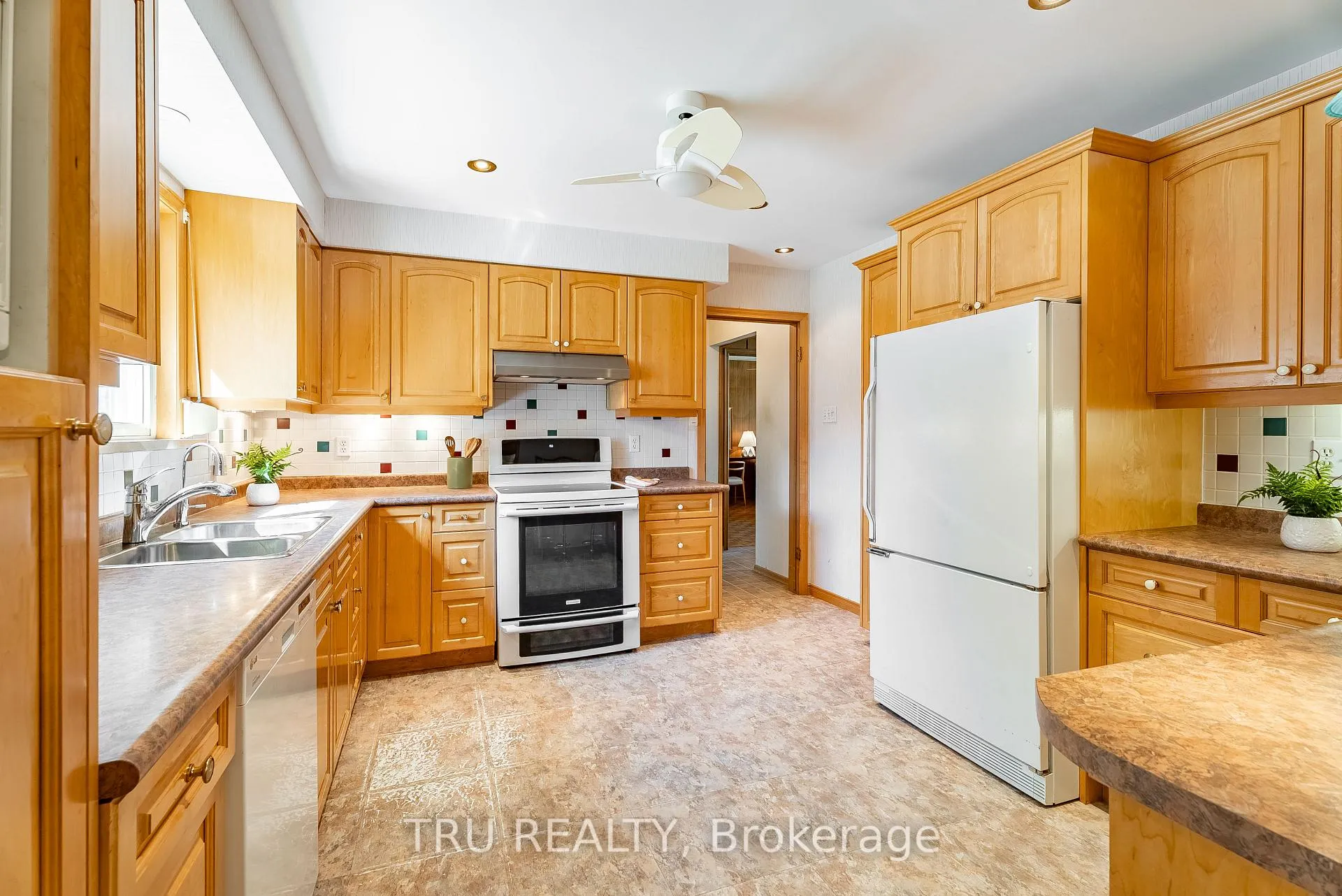 Photo 14 of 55 Amos Avenue, Waterloo — HOMEH