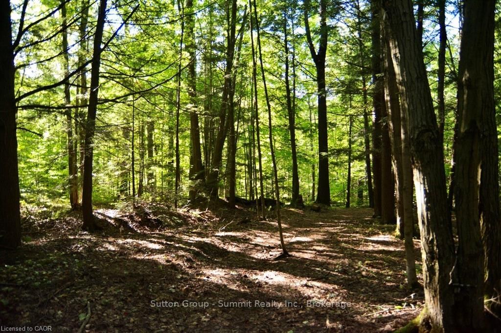 Photo 34 of 79 Kingfisher Crescent, Tiny, Rural Tiny — HOMEH