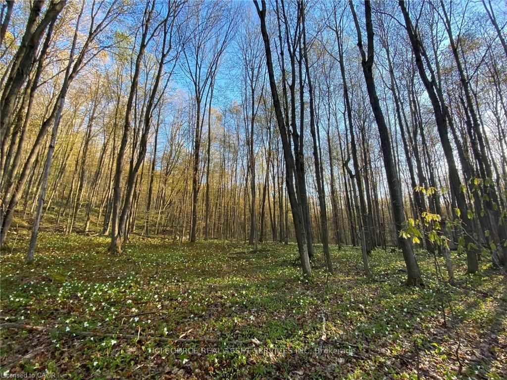 Photo 3 of LT 8 Concession 13 Road E, Tiny, Rural Tiny — HOMEH