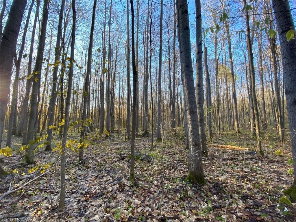 Photo 4 of LT 8 Concession 13 Road E, Tiny, Rural Tiny — HOMEH