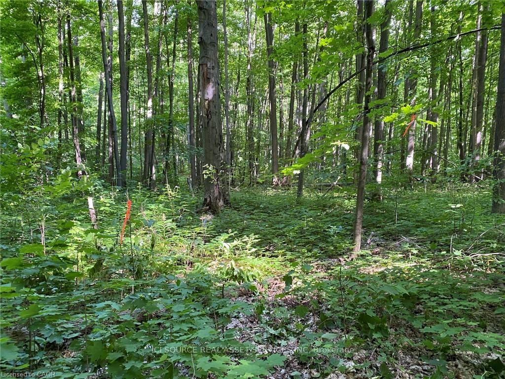 Photo 10 of LT 8 Concession 13 Road E, Tiny, Rural Tiny — HOMEH