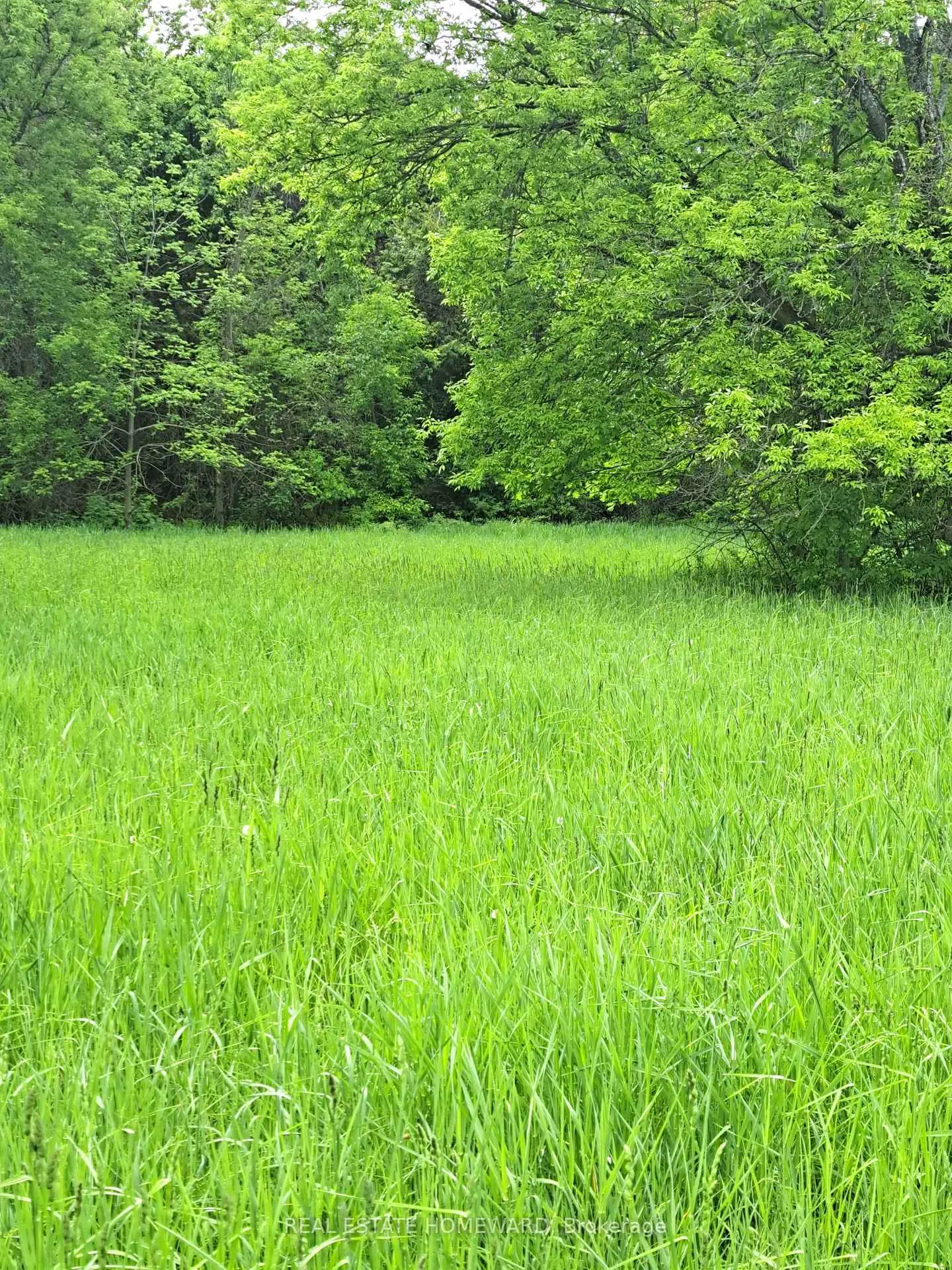 Photo 4 of 280 Stoco Road, Tweed, Hungerford (Twp) — HOMEH