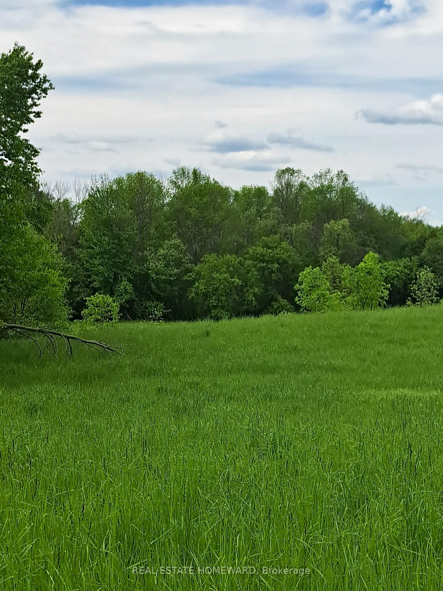 Photo 5 of 280 Stoco Road, Tweed, Hungerford (Twp) — HOMEH