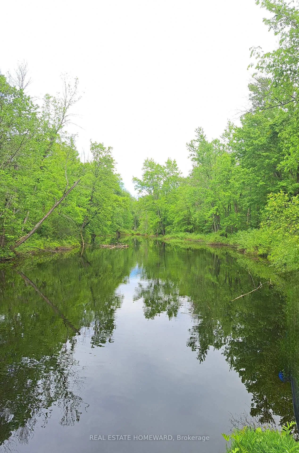 Photo 6 of 280 Stoco Road, Tweed, Hungerford (Twp) — HOMEH