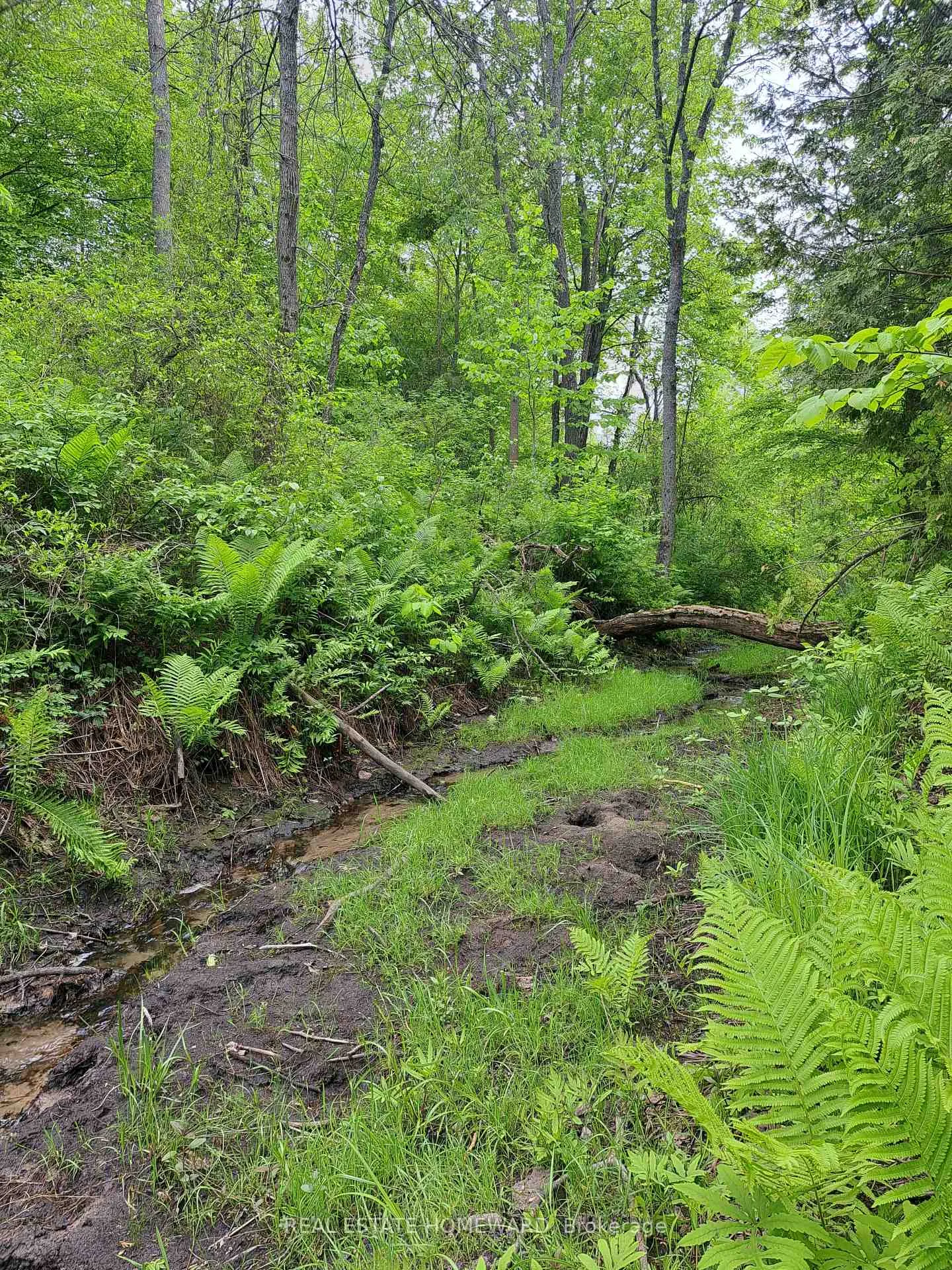 Photo 9 of 280 Stoco Road, Tweed, Hungerford (Twp) — HOMEH