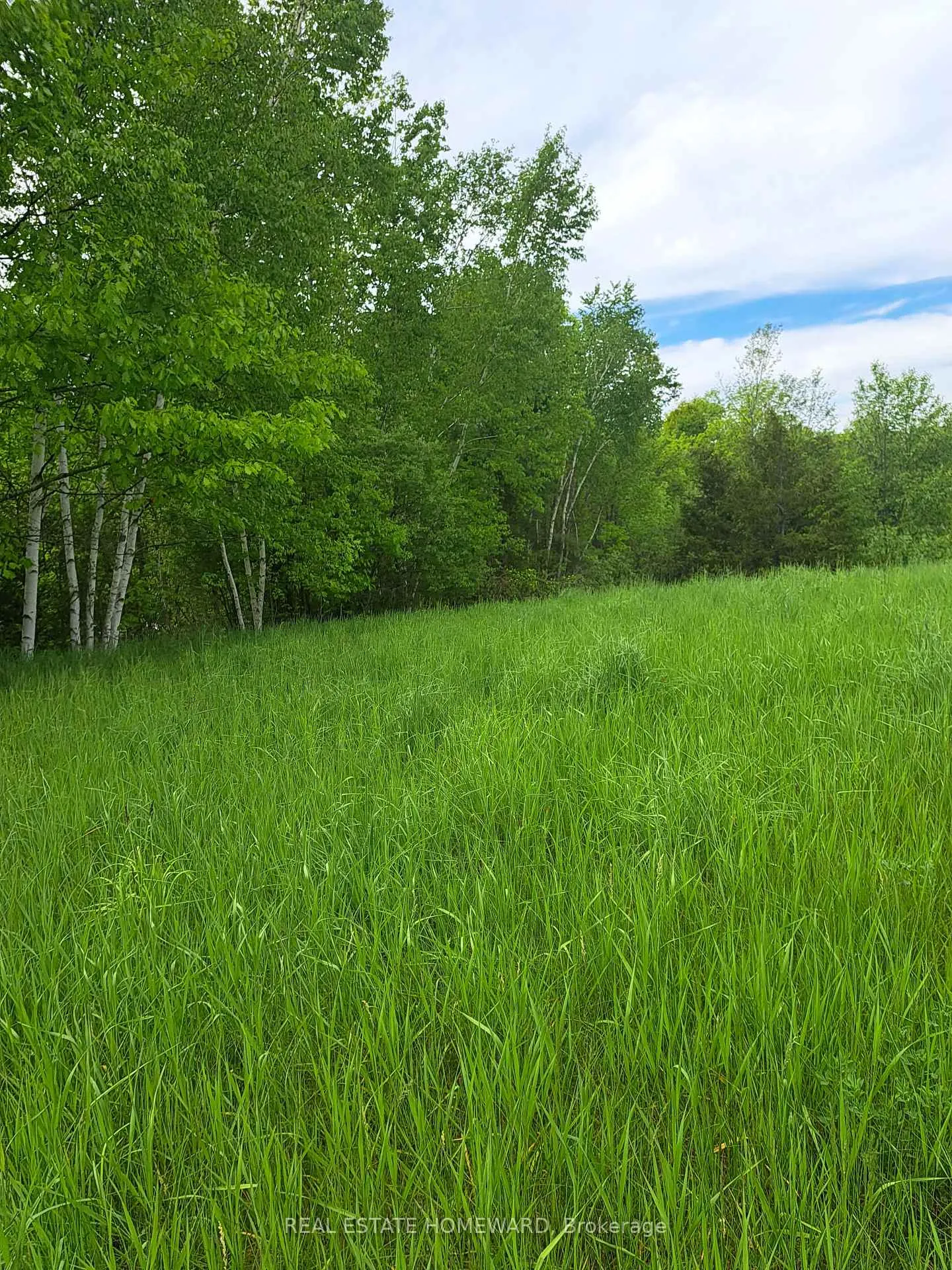 Photo 19 of 280 Stoco Road, Tweed, Hungerford (Twp) — HOMEH