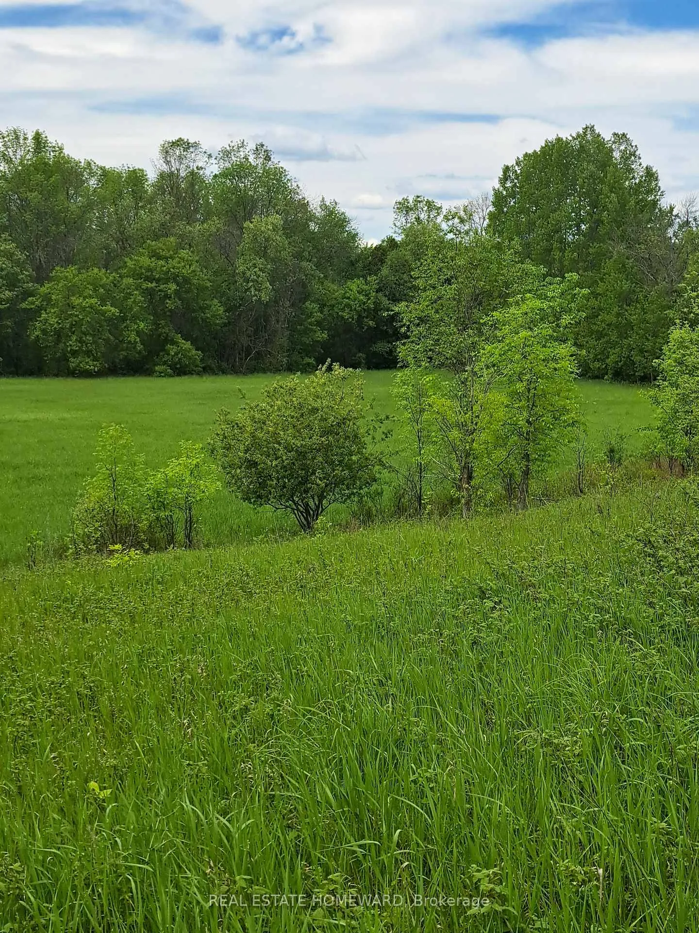 Photo 25 of 280 Stoco Road, Tweed, Hungerford (Twp) — HOMEH