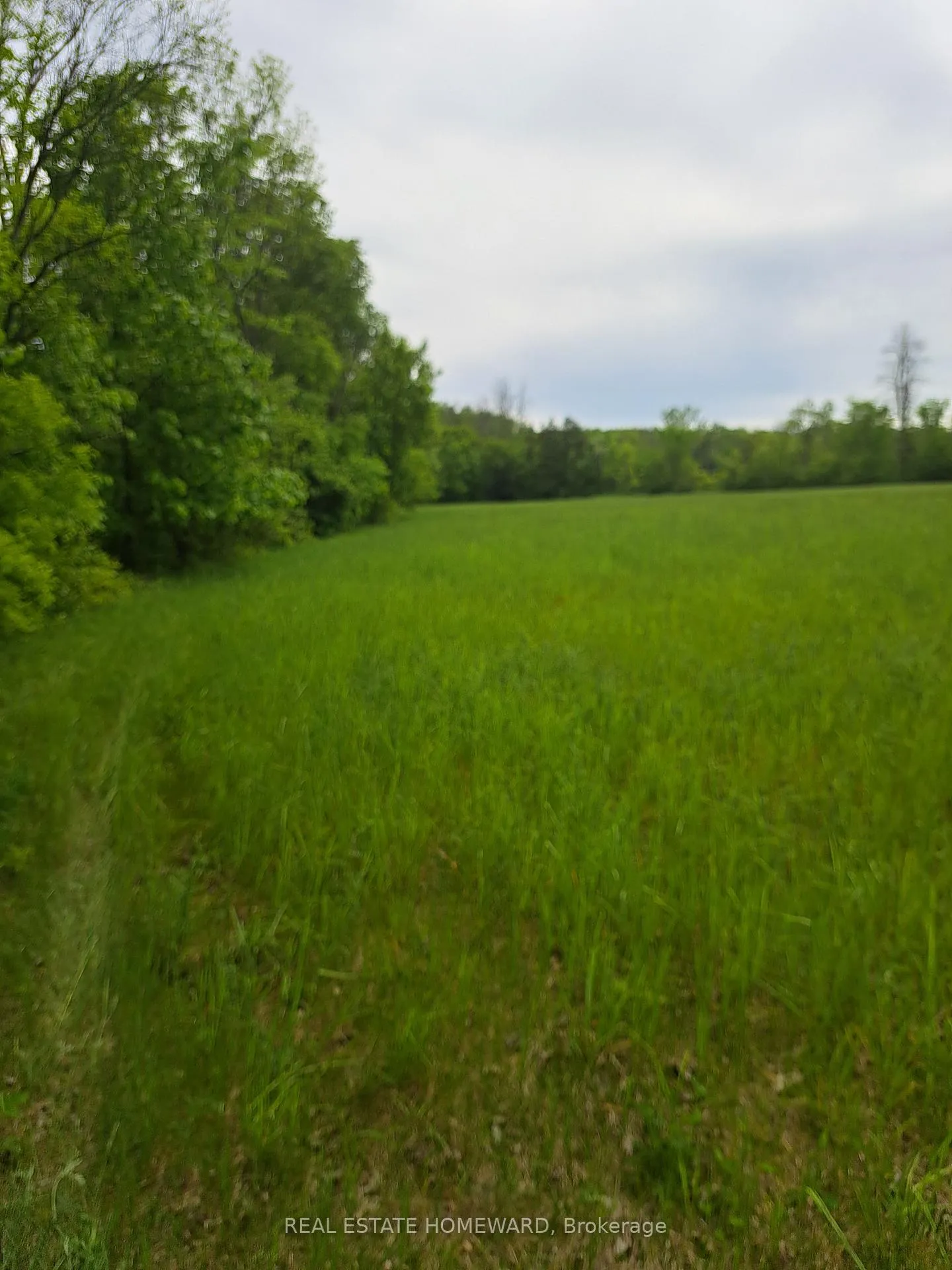 Photo 26 of 280 Stoco Road, Tweed, Hungerford (Twp) — HOMEH