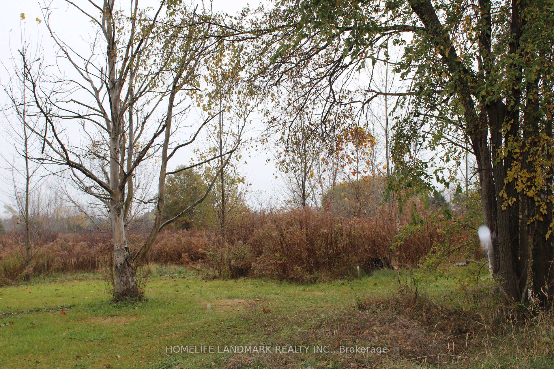 Photo 4 of 2439 Hurricane Road, Thorold, Hurricane/Merrittville — HOMEH