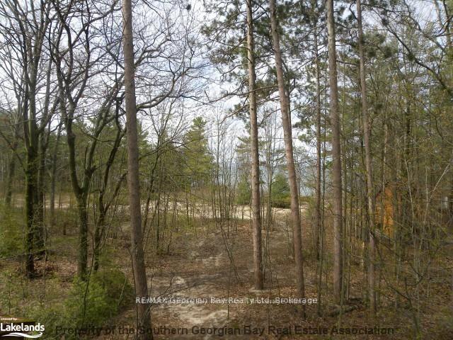 Photo 44 of 1246 Tiny Beaches Road N, Tiny, Rural Tiny — HOMEH