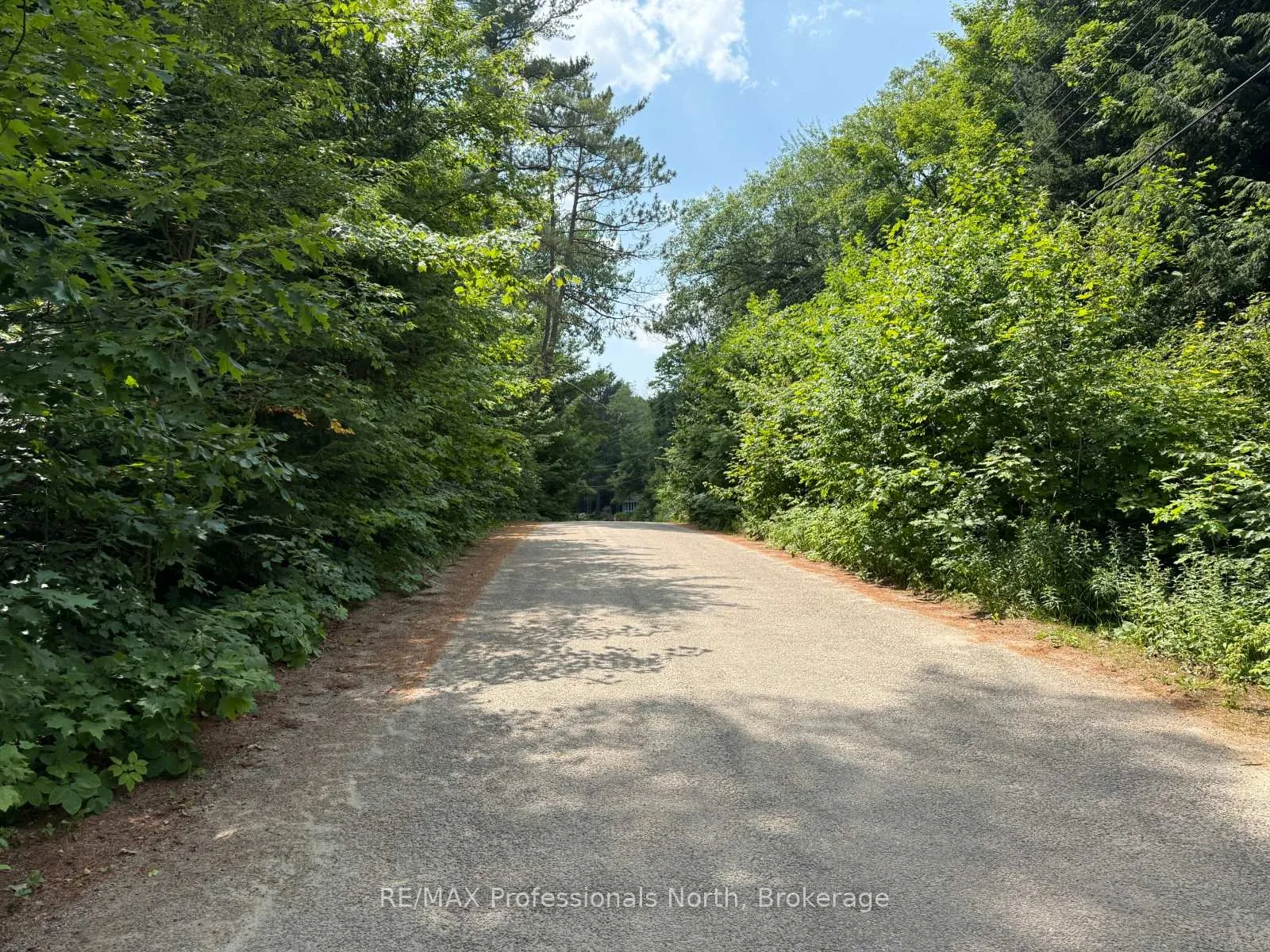Photo 21 of Halls Lake Road, Algonquin Highlands, Stanhope — HOMEH
