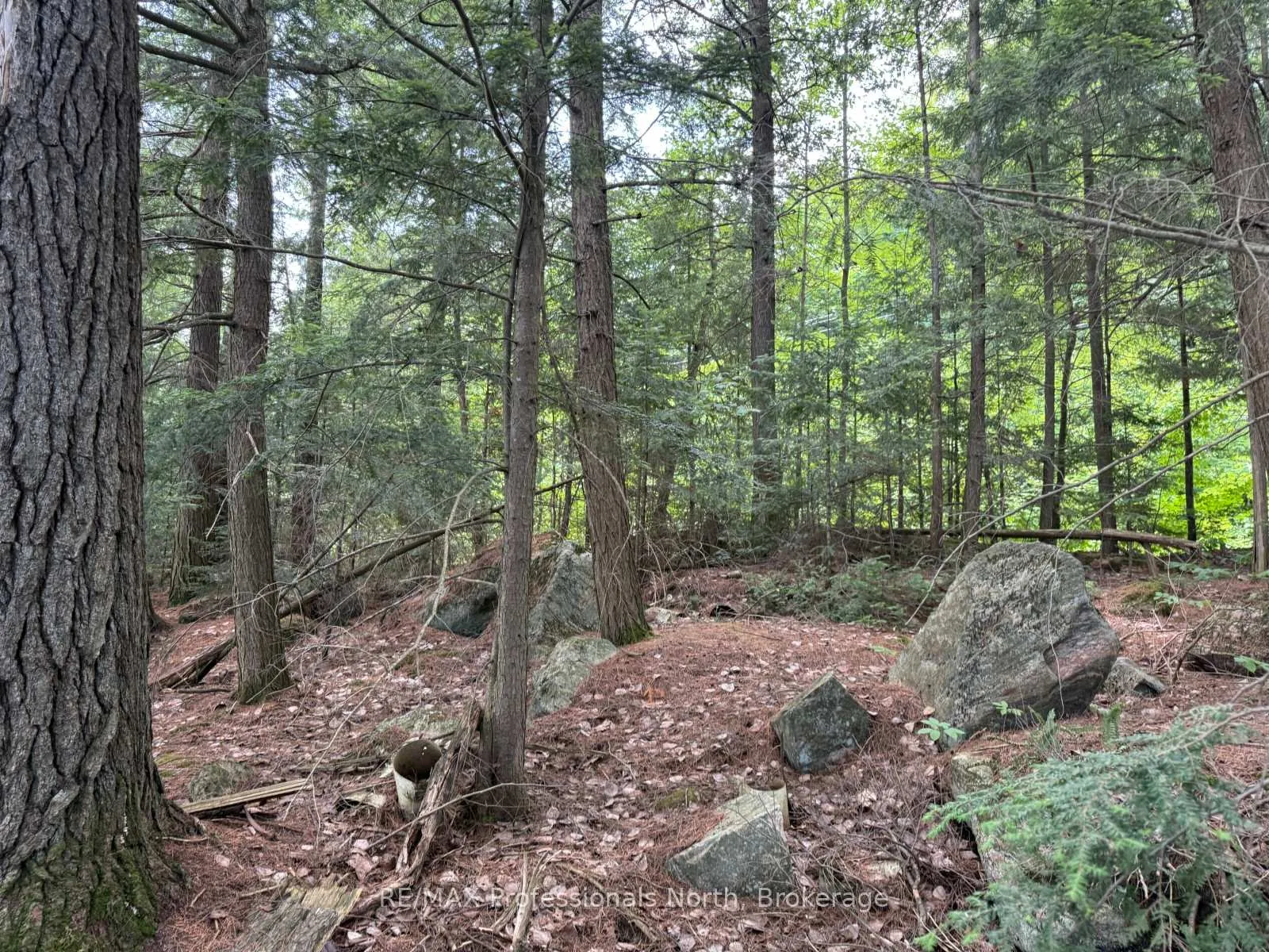Photo 26 of Halls Lake Road, Algonquin Highlands, Stanhope — HOMEH