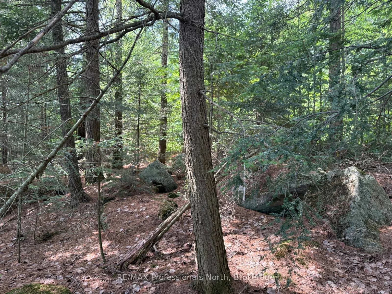 Photo 27 of Halls Lake Road, Algonquin Highlands, Stanhope — HOMEH