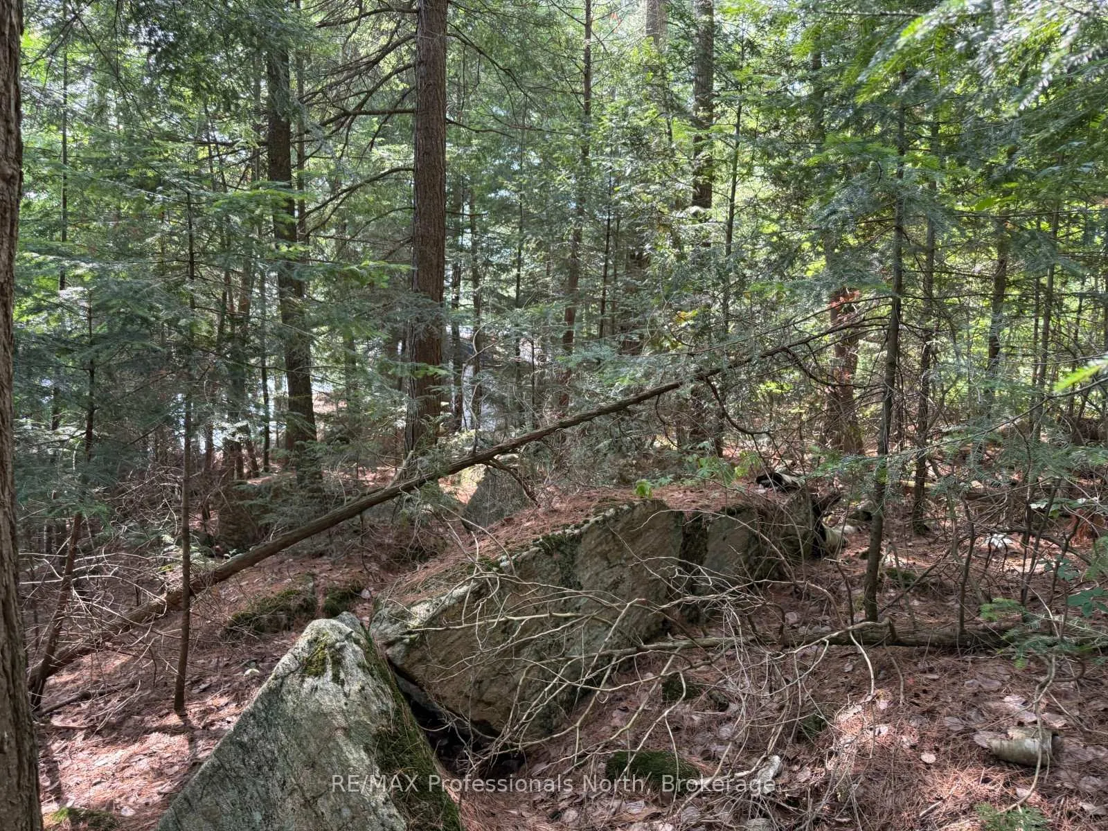 Photo 28 of Halls Lake Road, Algonquin Highlands, Stanhope — HOMEH