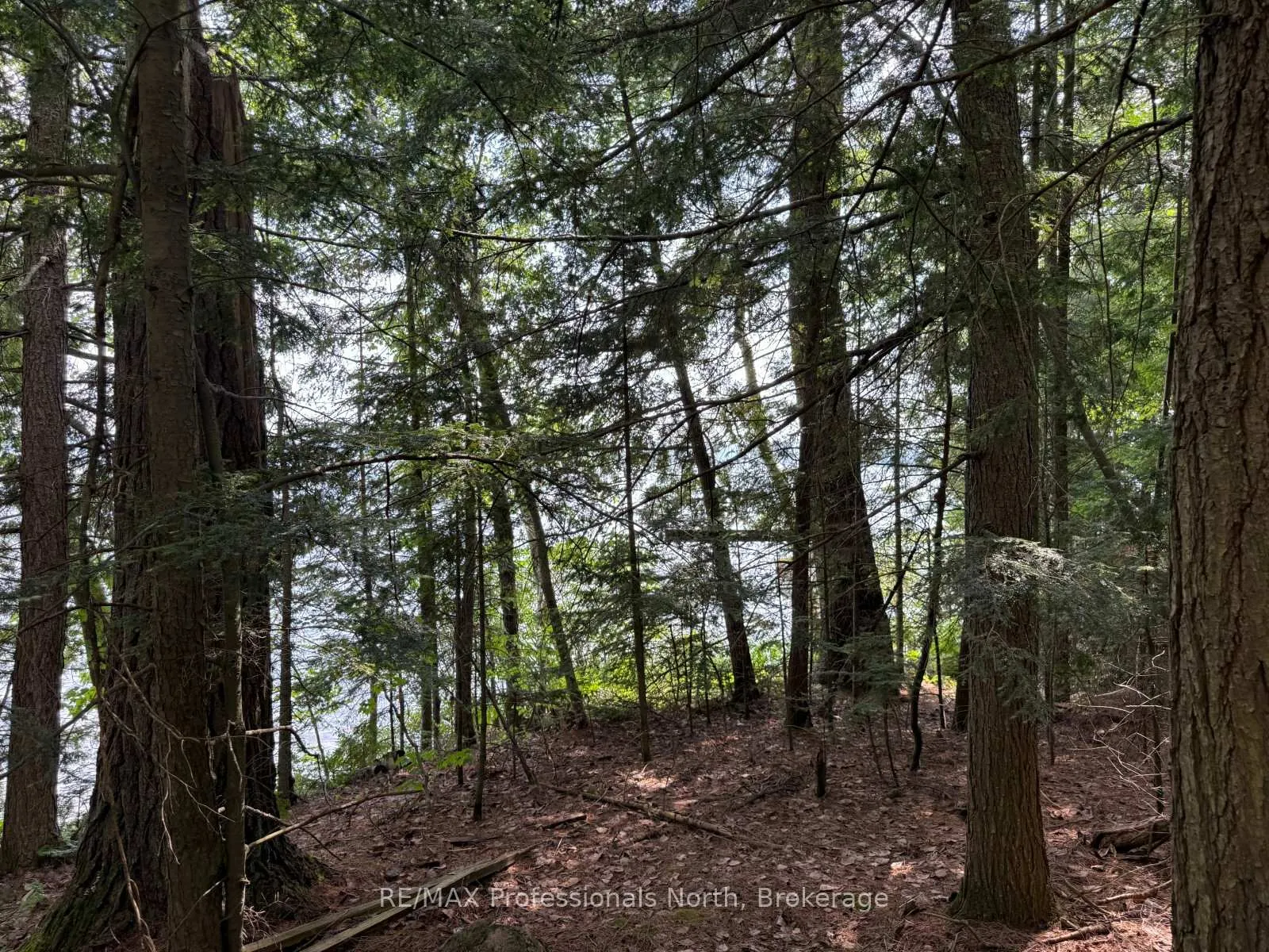 Photo 29 of Halls Lake Road, Algonquin Highlands, Stanhope — HOMEH