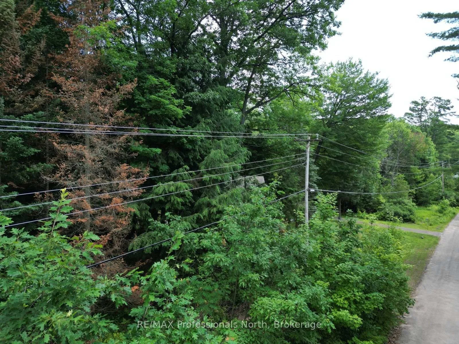 Photo 10 of Halls Lake Road, Algonquin Highlands, Stanhope — HOMEH
