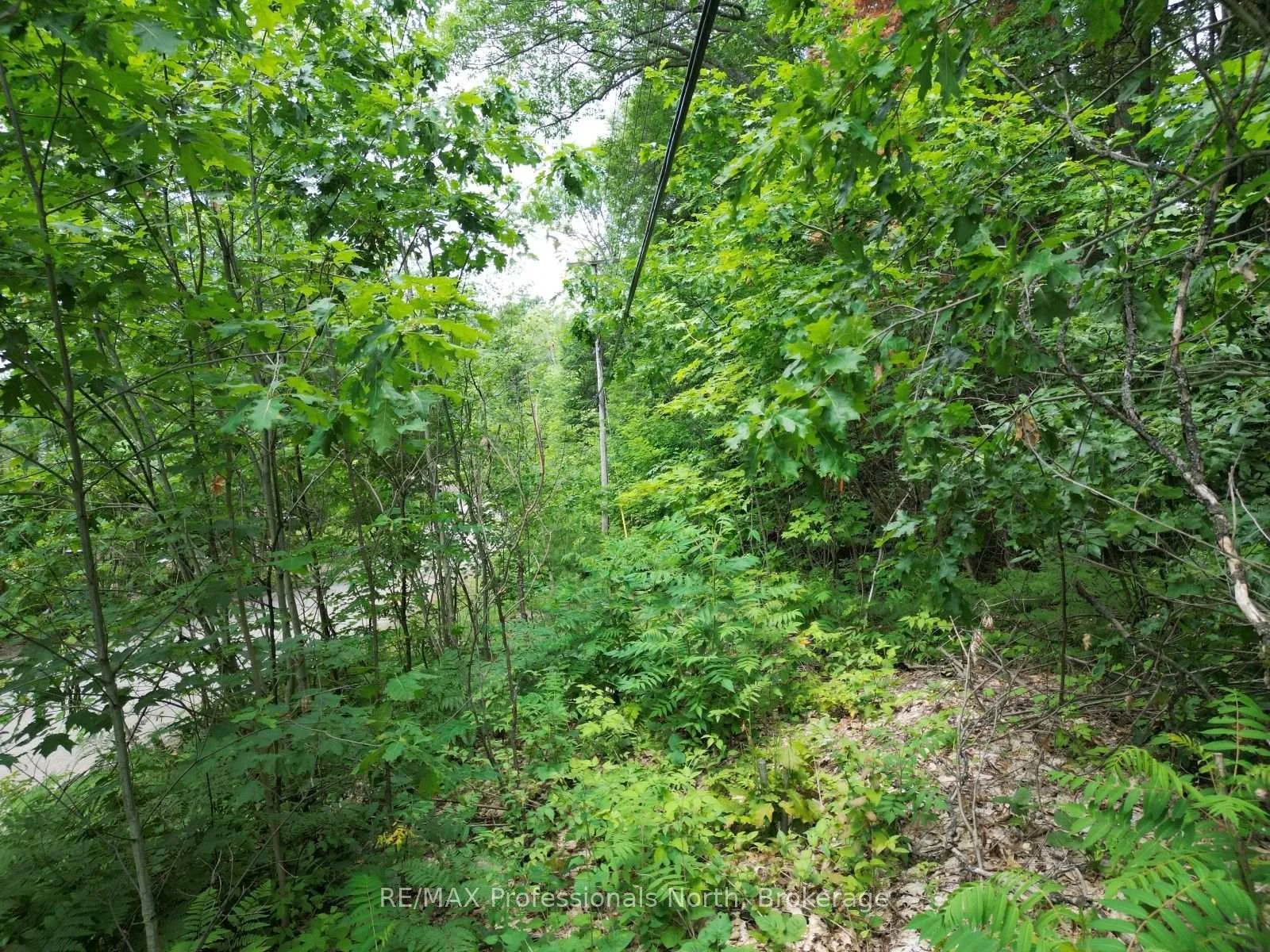 Photo 14 of Halls Lake Road, Algonquin Highlands, Stanhope — HOMEH