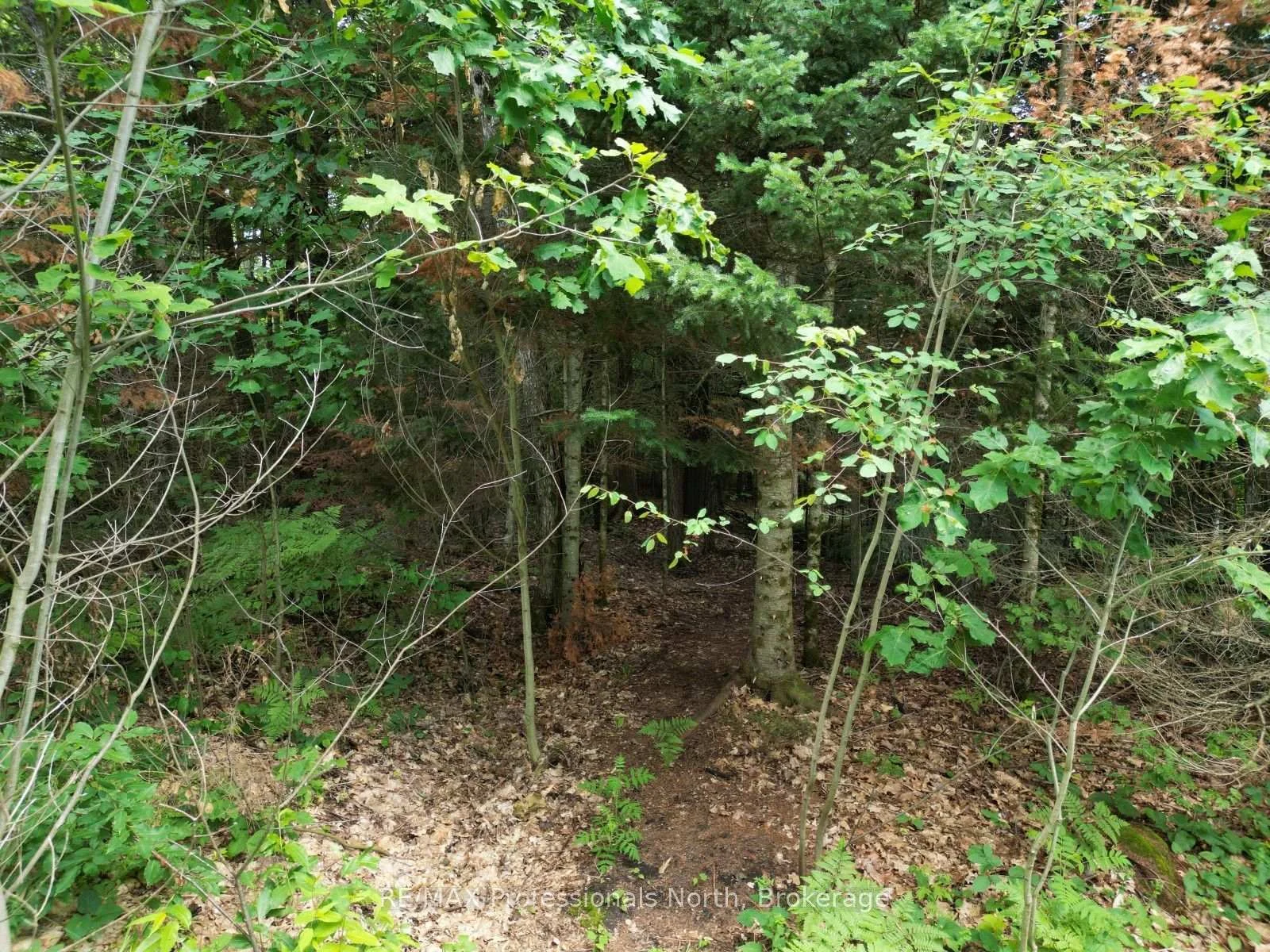 Photo 15 of Halls Lake Road, Algonquin Highlands, Stanhope — HOMEH