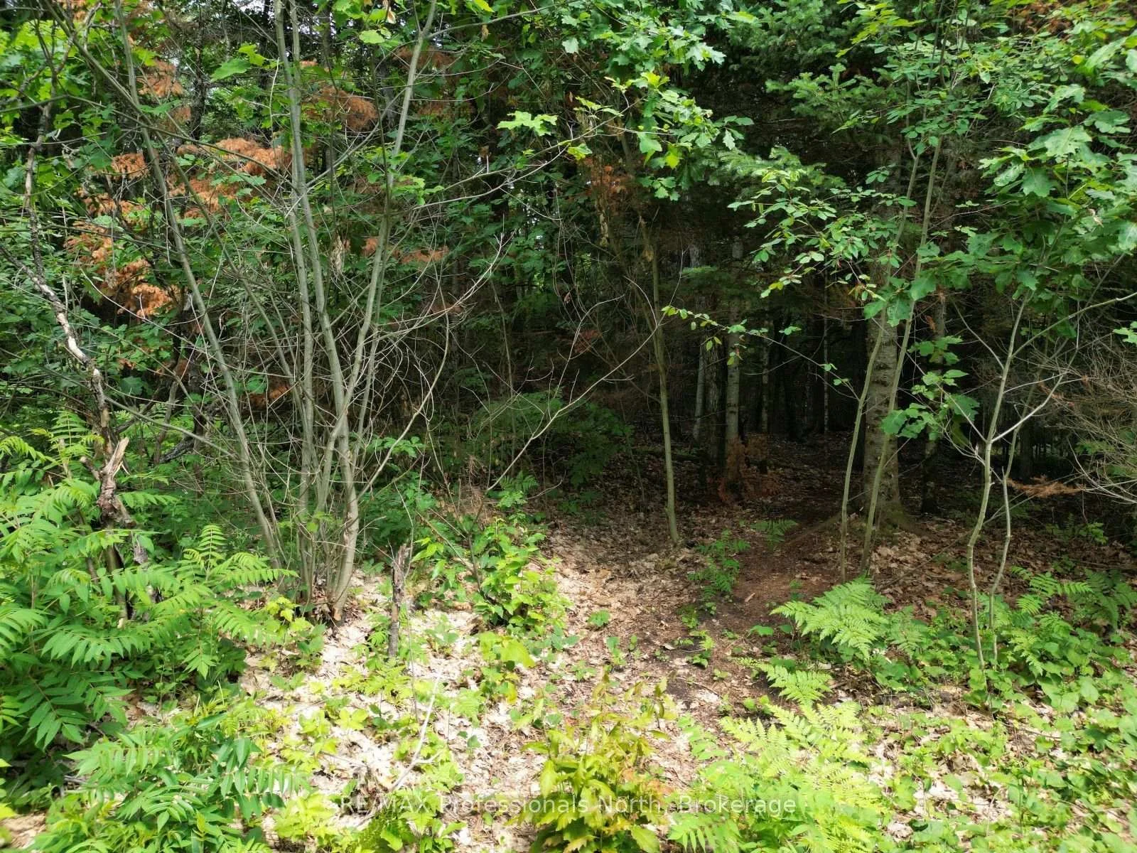 Photo 16 of Halls Lake Road, Algonquin Highlands, Stanhope — HOMEH