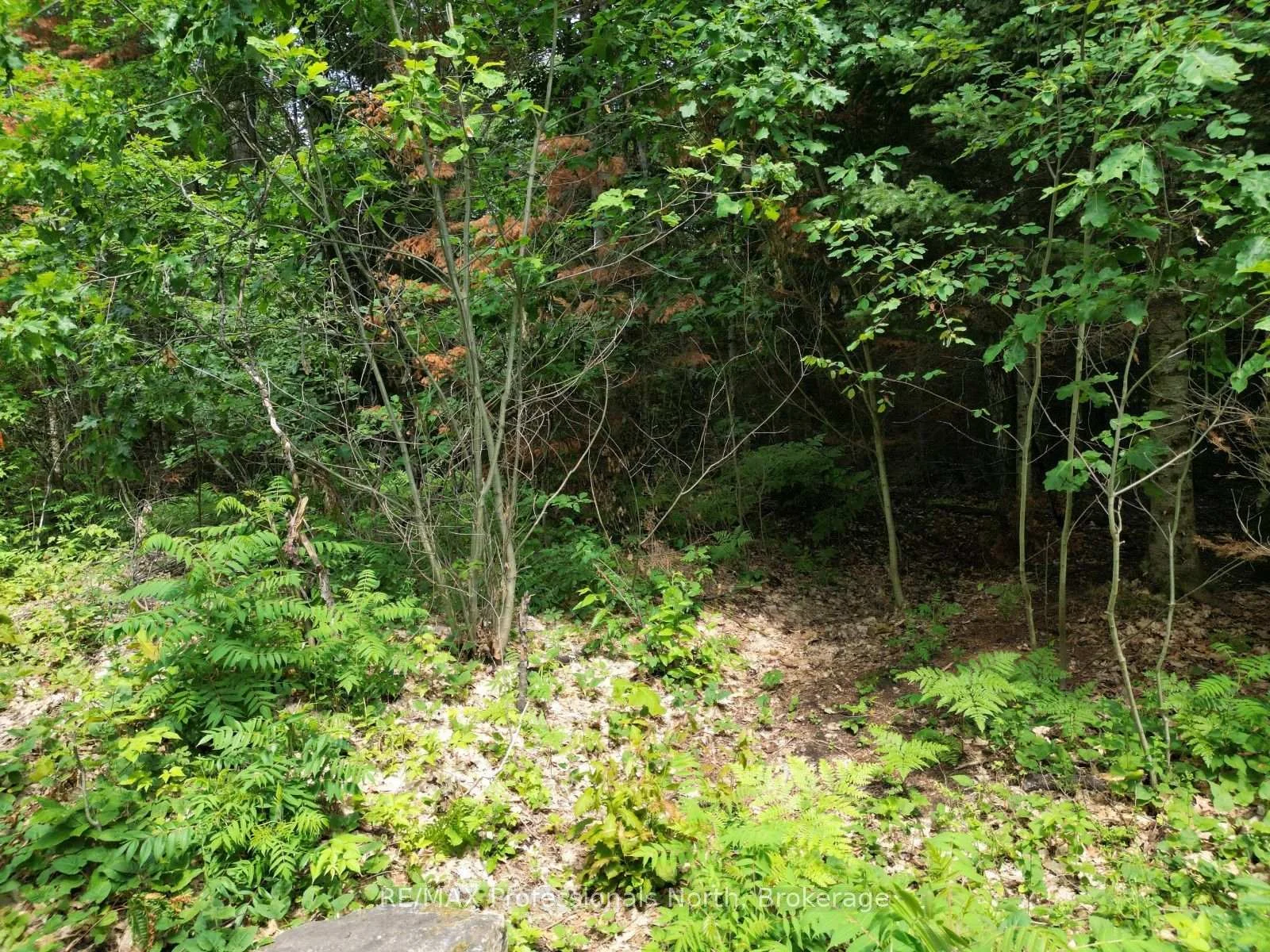 Photo 17 of Halls Lake Road, Algonquin Highlands, Stanhope — HOMEH
